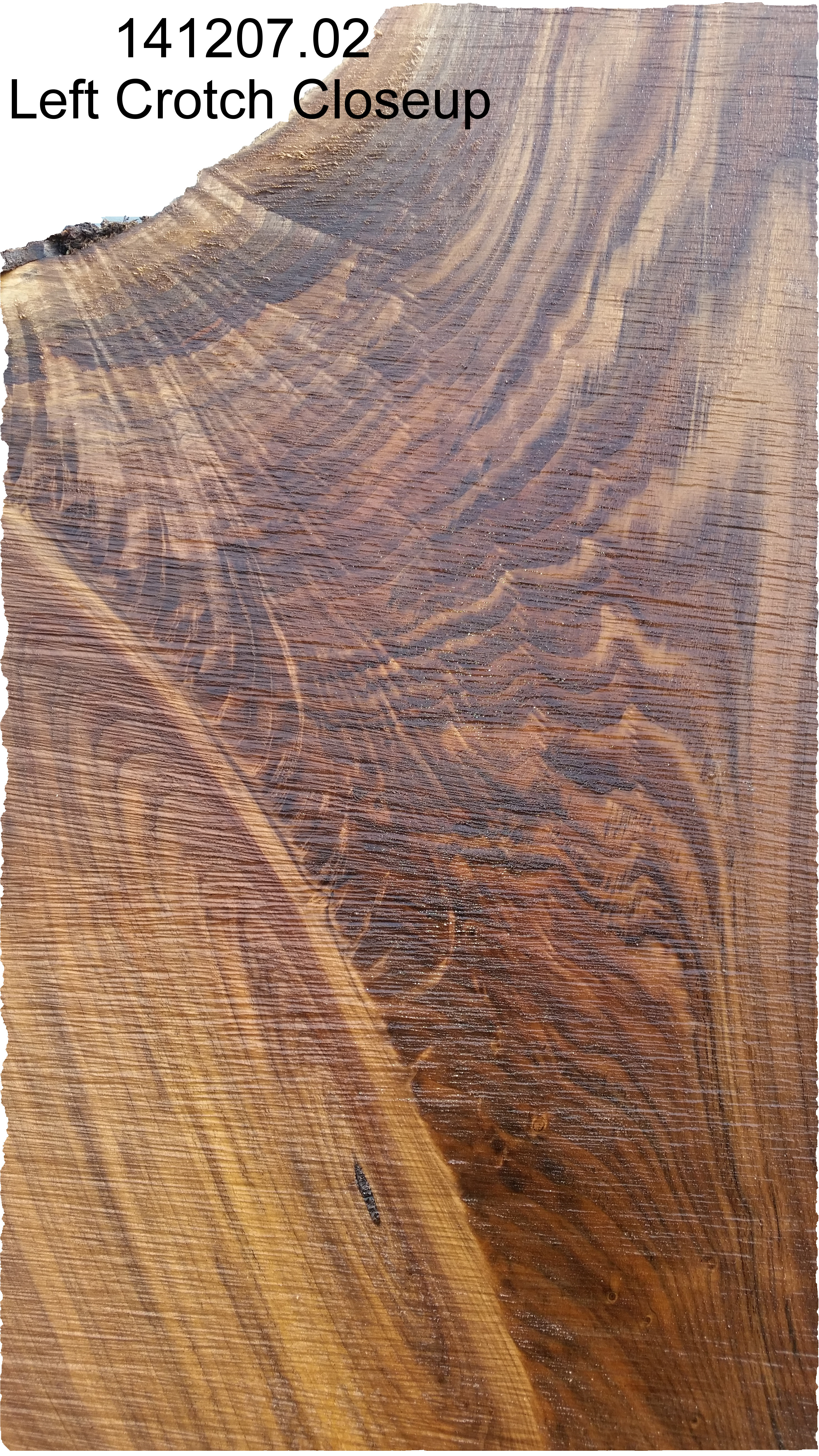 24 Lovely 2 1 2 Inch Hardwood Flooring 2024 free download 2 1 2 inch hardwood flooring of live edge slab 2 of 8 flitches smoking wood hardwood lumber inside left root flare