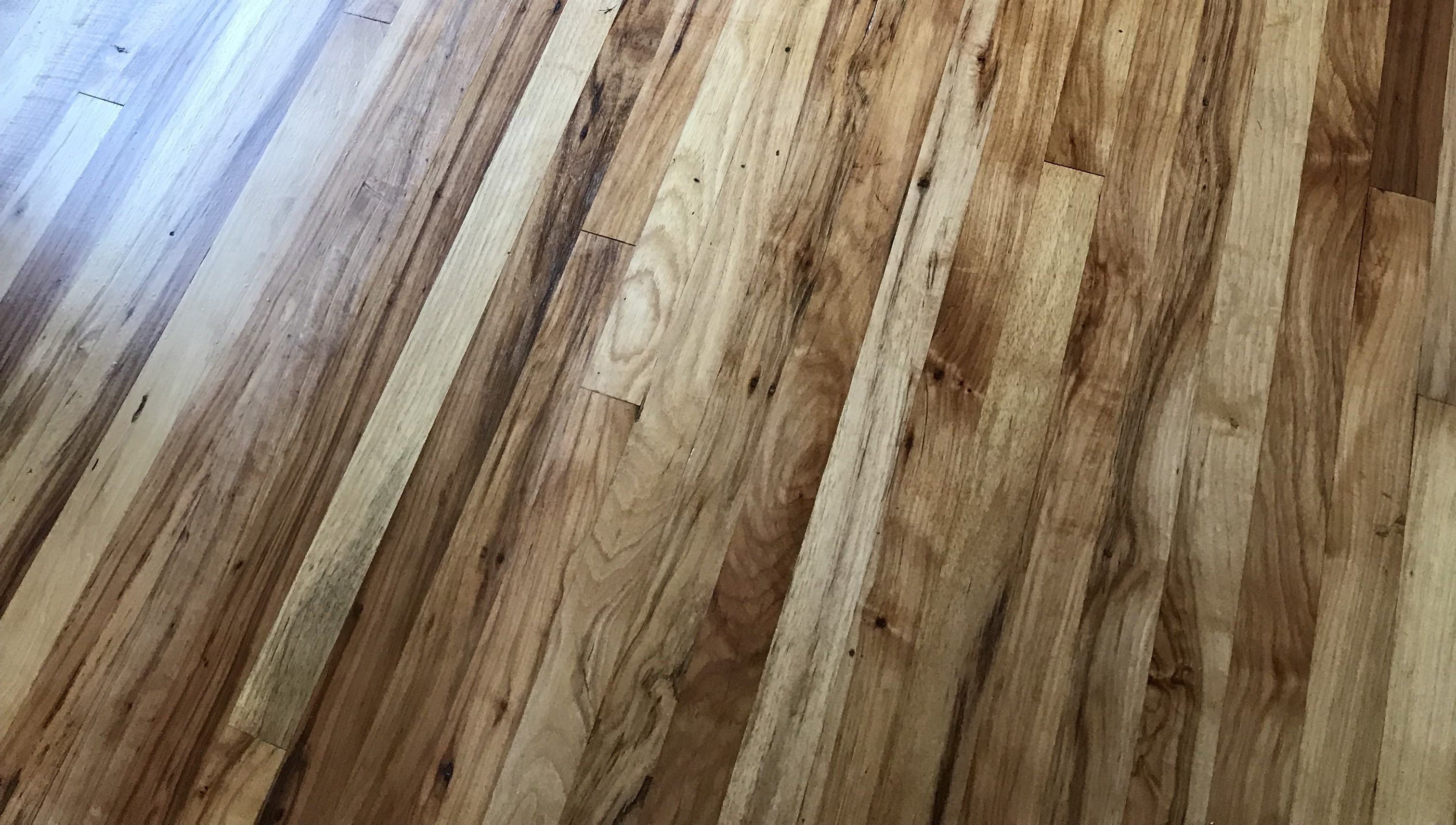 27 Amazing 3 4 Maple Hardwood Flooring 2024 free download 3 4 maple hardwood flooring of refinishing hardwood floors carlhaven made for refinishing hardwood floors