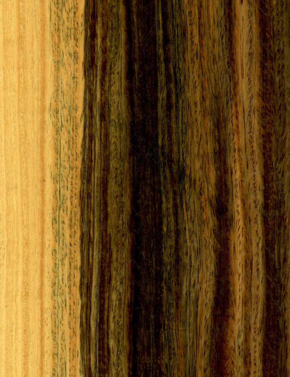 13 Unique 3 8 Vs 3 4 Hardwood Flooring 2024 free download 3 8 vs 3 4 hardwood flooring of lignum vitae wikipedia for bulnesiasarmientoi wood01