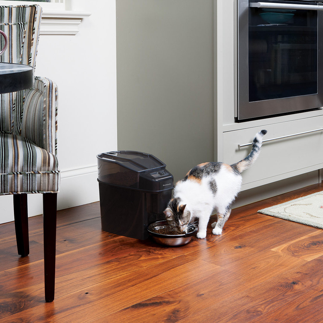 11 Stylish A Plus Hardwood Floors Denver 2024 free download a plus hardwood floors denver of healthy pet simply feedac284c2a2 12 meal automatic pet feeder by petsafe with regard to healthy pet simply feedac284c2a2 12 meal automatic pet feeder by pets