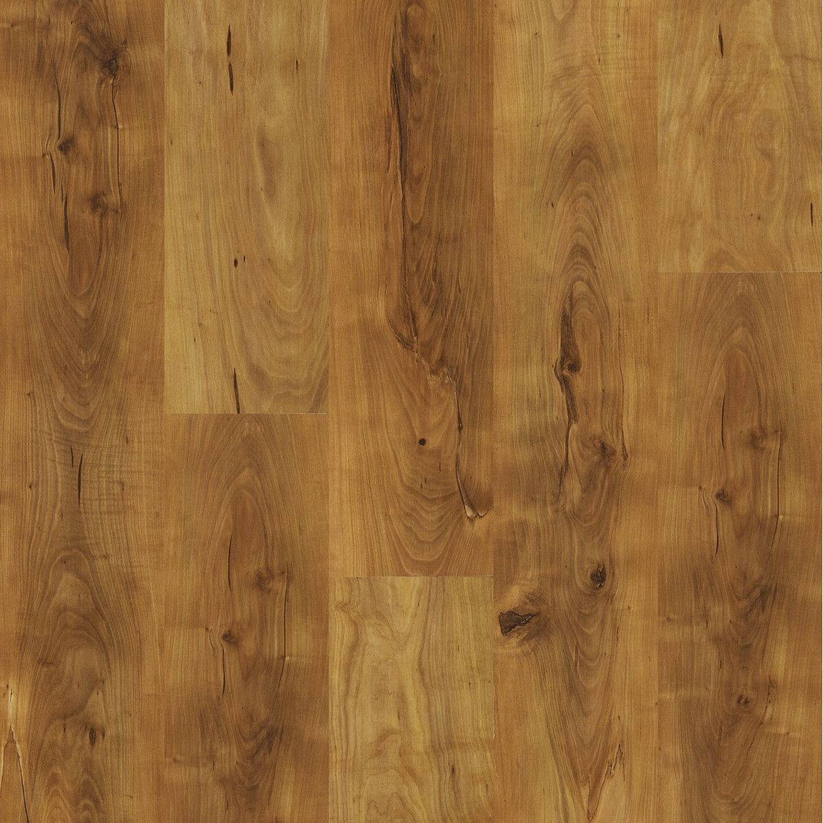 23 Great Acacia Hardwood Flooring Manufacturers 2024 free download acacia hardwood flooring manufacturers of 17 fresh hardwood laminate flooring pictures dizpos com intended for hardwood laminate flooring inspirational shaw floors natural values ii 6 5mm pi