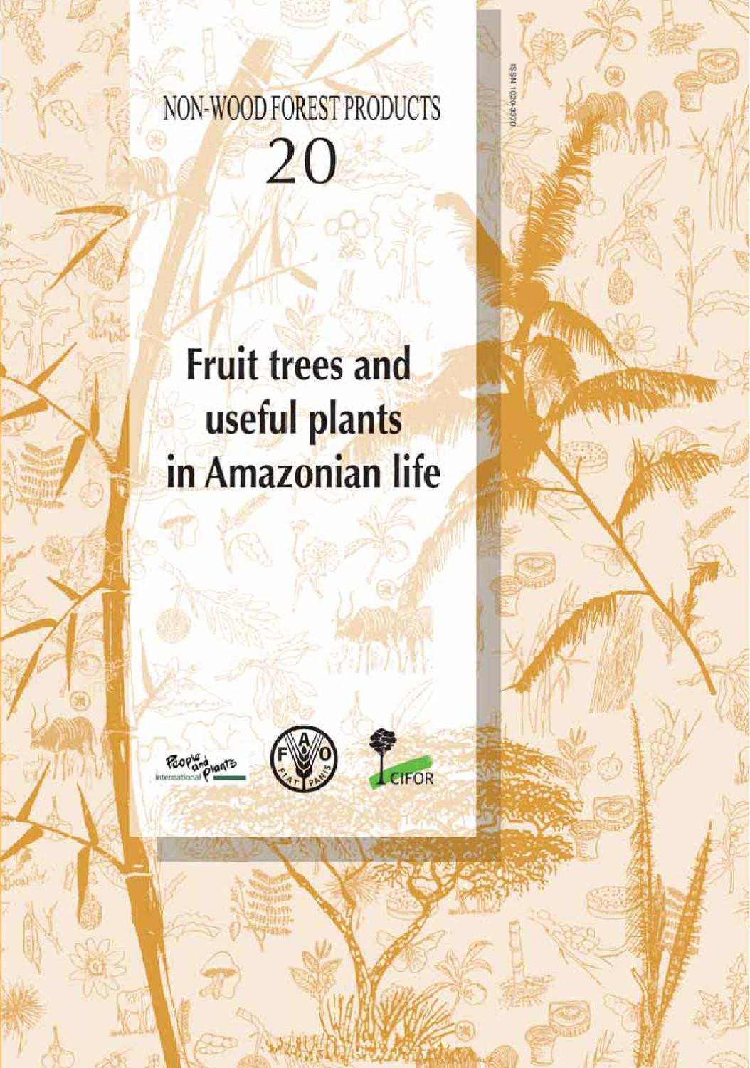 27 Ideal Amazonia Hardwood Flooring Outlet Inc 2024 free download amazonia hardwood flooring outlet inc of fruit trees and useful plants in amazonian life by revista ecolac293gica within fruit trees and useful plants in amazonian life by revista ecolac293g