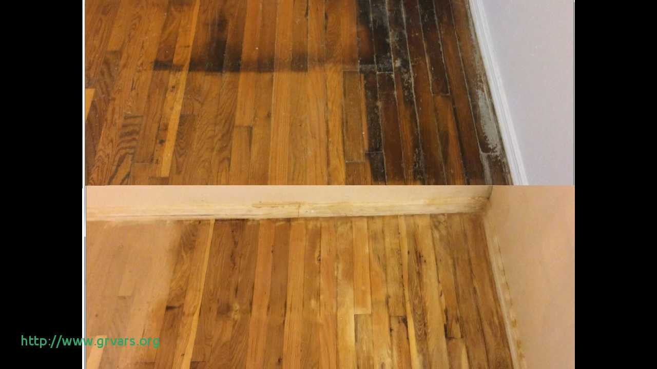 19 Unique Best Hardwood Floor Finish for Pets 2024 free download best hardwood floor finish for pets of 23 inspirant how to clean dog urine from wood floors ideas blog for how to clean dog urine from wood floors beau how to remove black pet urine stains