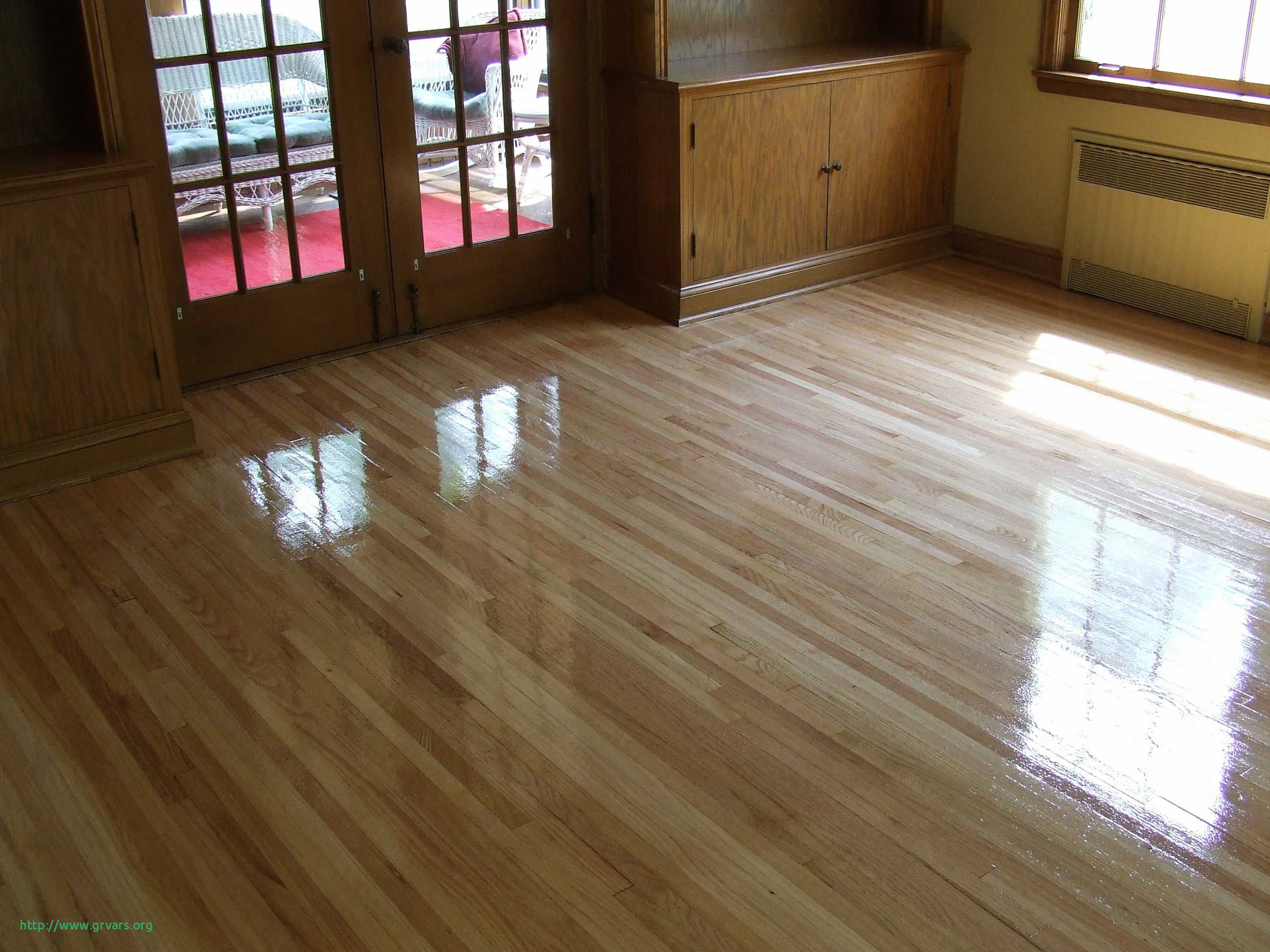 19 Unique Best Hardwood Floor Finish for Pets 2024 free download best hardwood floor finish for pets of 23 inspirant how to clean dog urine from wood floors ideas blog regarding best wood floor stain inspirational 51 elegant dog urine stain hardwood floor