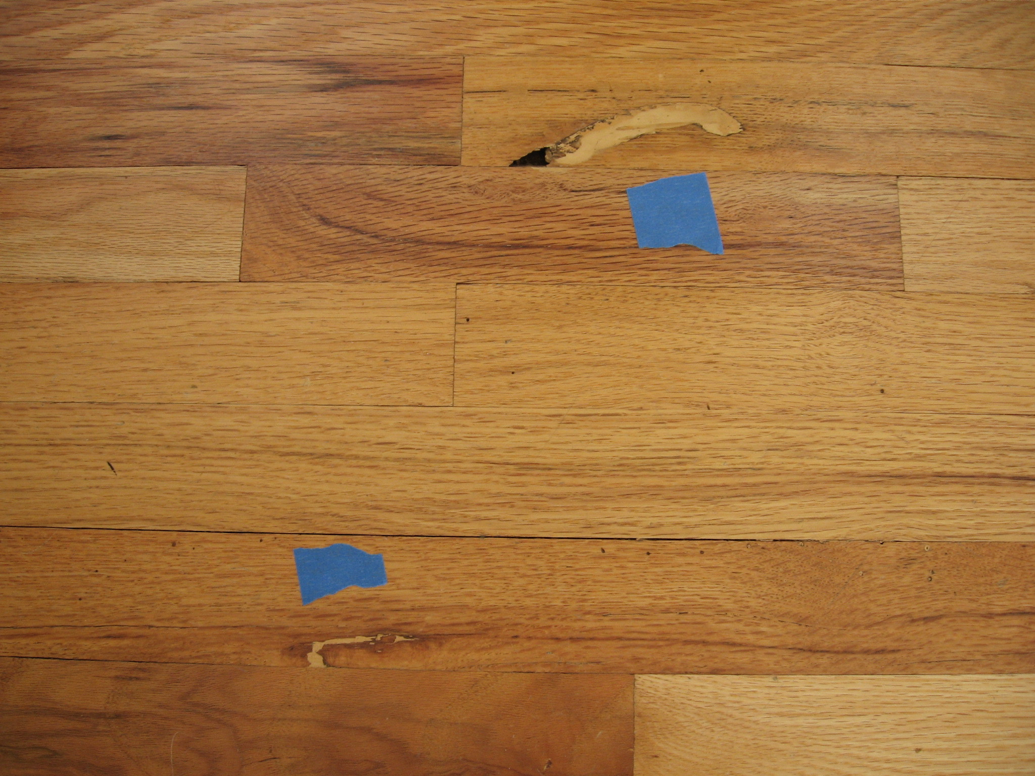 19 Unique Best Hardwood Floor Finish for Pets 2024 free download best hardwood floor finish for pets of wood floor techniques 101 with filler bad