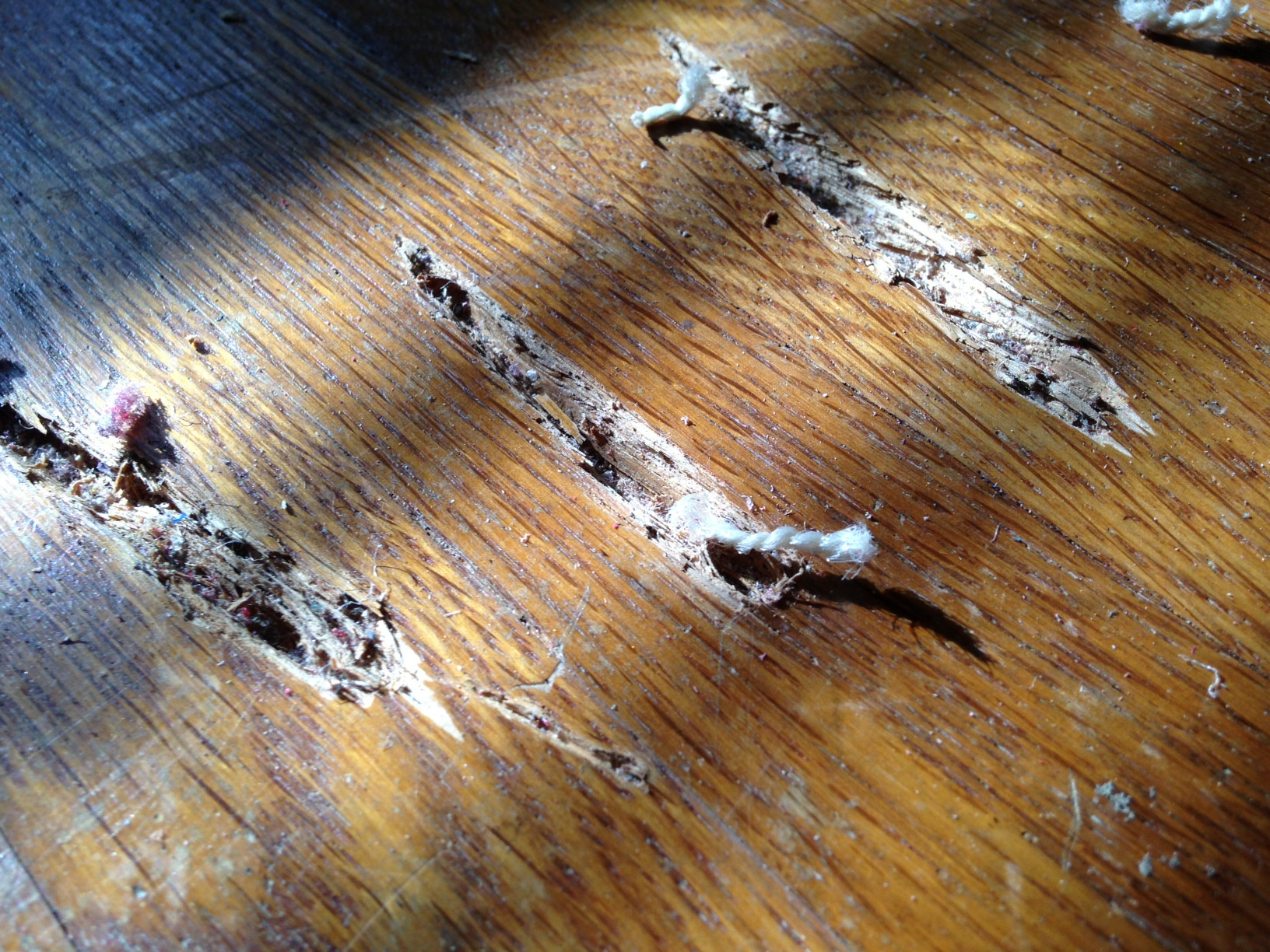 21 Unique Best Hardwood Floor Gap Filler 2024 free download best hardwood floor gap filler of wood floor techniques 101 pertaining to gouges wicked bad