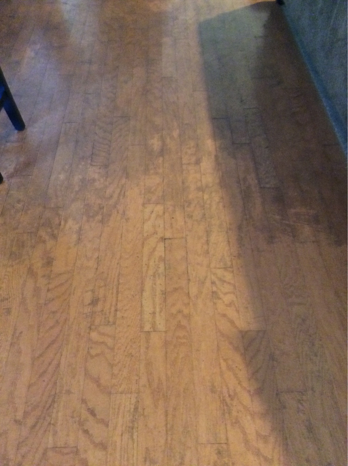 27 Best Best Hardwood Floor Mop 2016 2024 free download best hardwood floor mop 2016 of hardwood floor cleaning help truckmount forums 1 carpet pertaining to how would you guys clean this wood floors