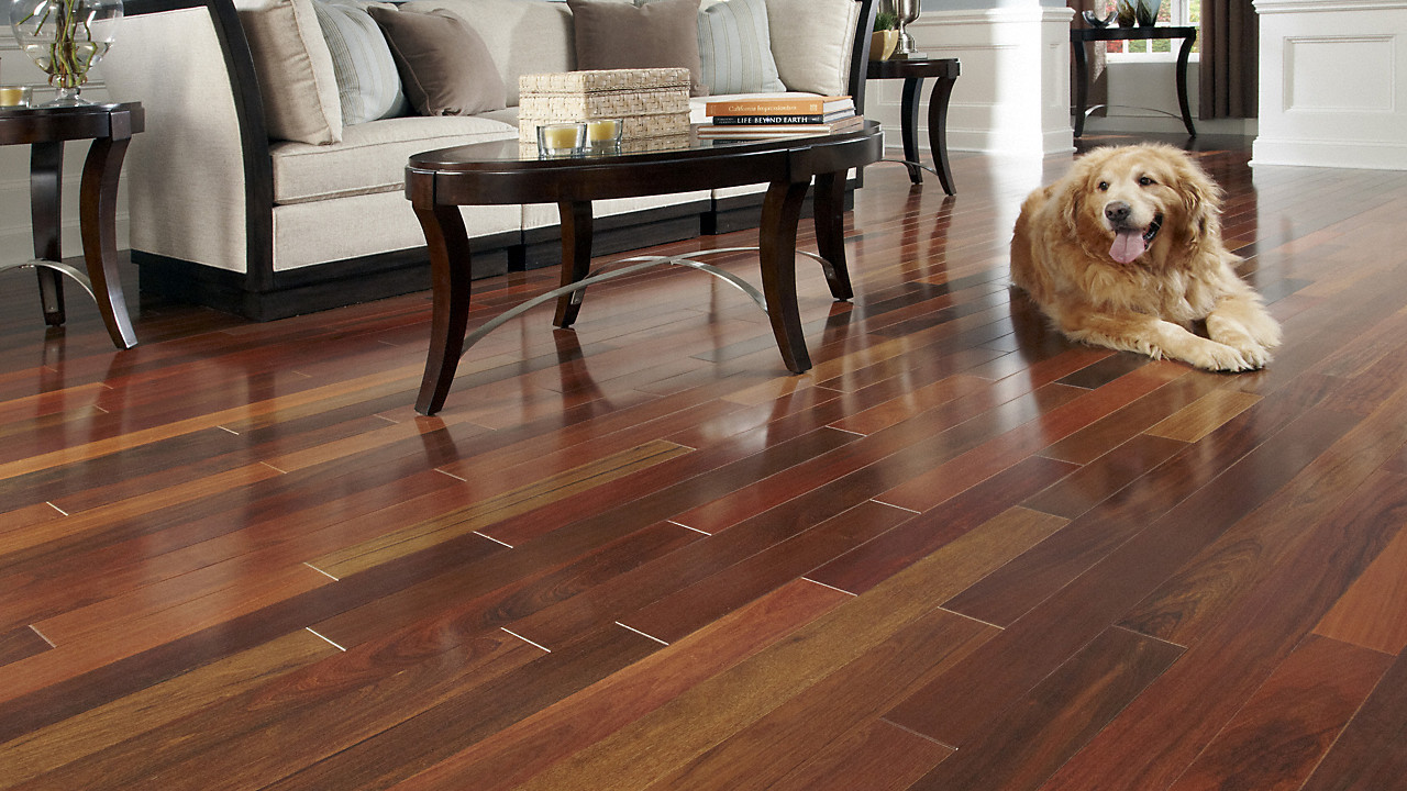 10 Stylish Best Hardwood Floor Protectors 2024 free download best hardwood floor protectors of 3 4 x 3 1 4 brazilian walnut bellawood lumber liquidators intended for bellawood 3 4 x 3 1 4 brazilian walnut