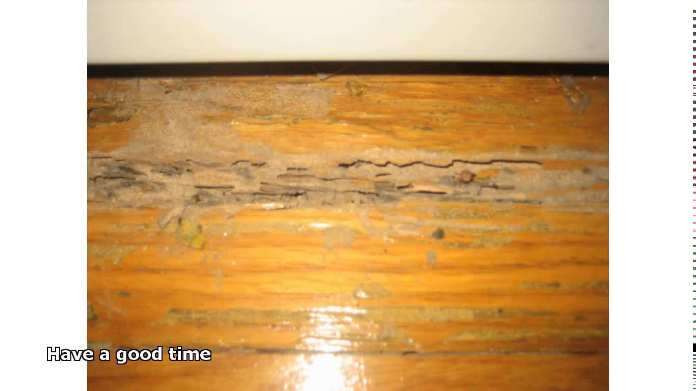 16 Fantastic Best Hardwood Floor Shiner 2024 free download best hardwood floor shiner of cleaning old hardwood floors youtube intended for cleaning old hardwood floors