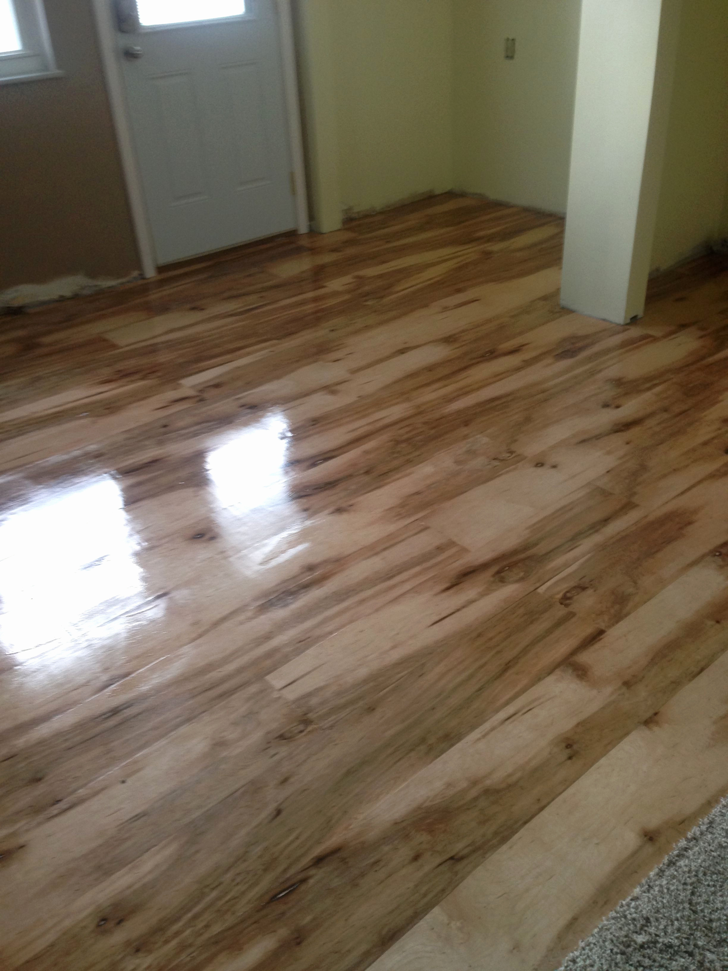 27 Fantastic Best Hardwood Flooring In toronto 2024 free download best hardwood flooring in toronto of 26 beautiful solid wood flooring wlcu regarding solid wood flooring luxury good looking discount hardwood flooring 3 kitchen remodel solid wood flooring