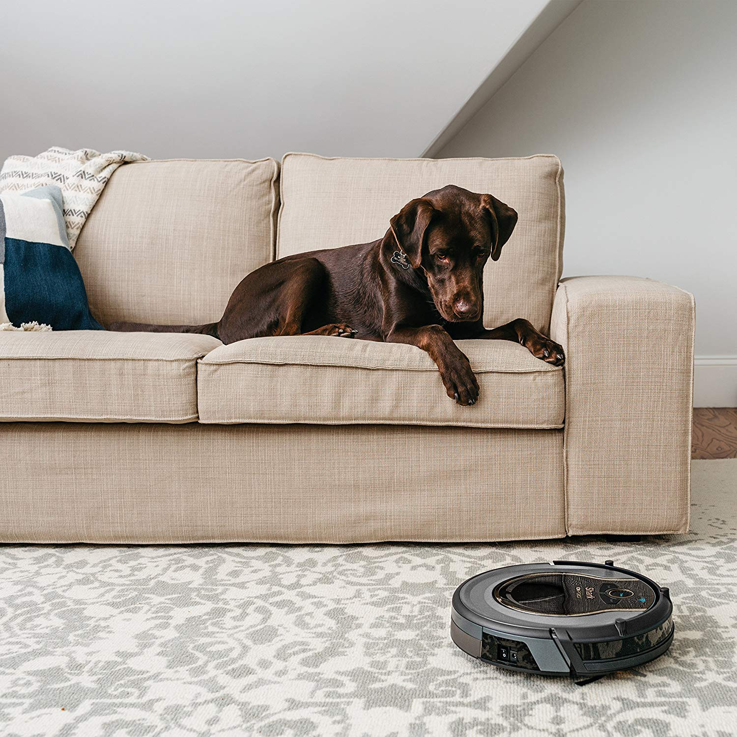 29 Stylish Best Roomba for Pets and Hardwood Floors 2024 free download best roomba for pets and hardwood floors of amazon com shark ion robot vacuum wifi connected voice control with amazon com shark ion robot vacuum wifi connected voice control dual action rob