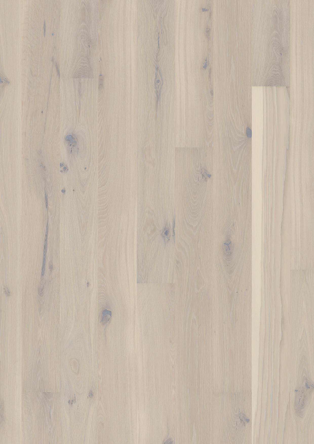 23 Stylish Boen Hardwood Flooring Usa 2024 free download boen hardwood flooring usa of oak pale white live pure plank live pure lacquer 14 x 138 x 2200 mm for pig8v6fd oak pale white plank