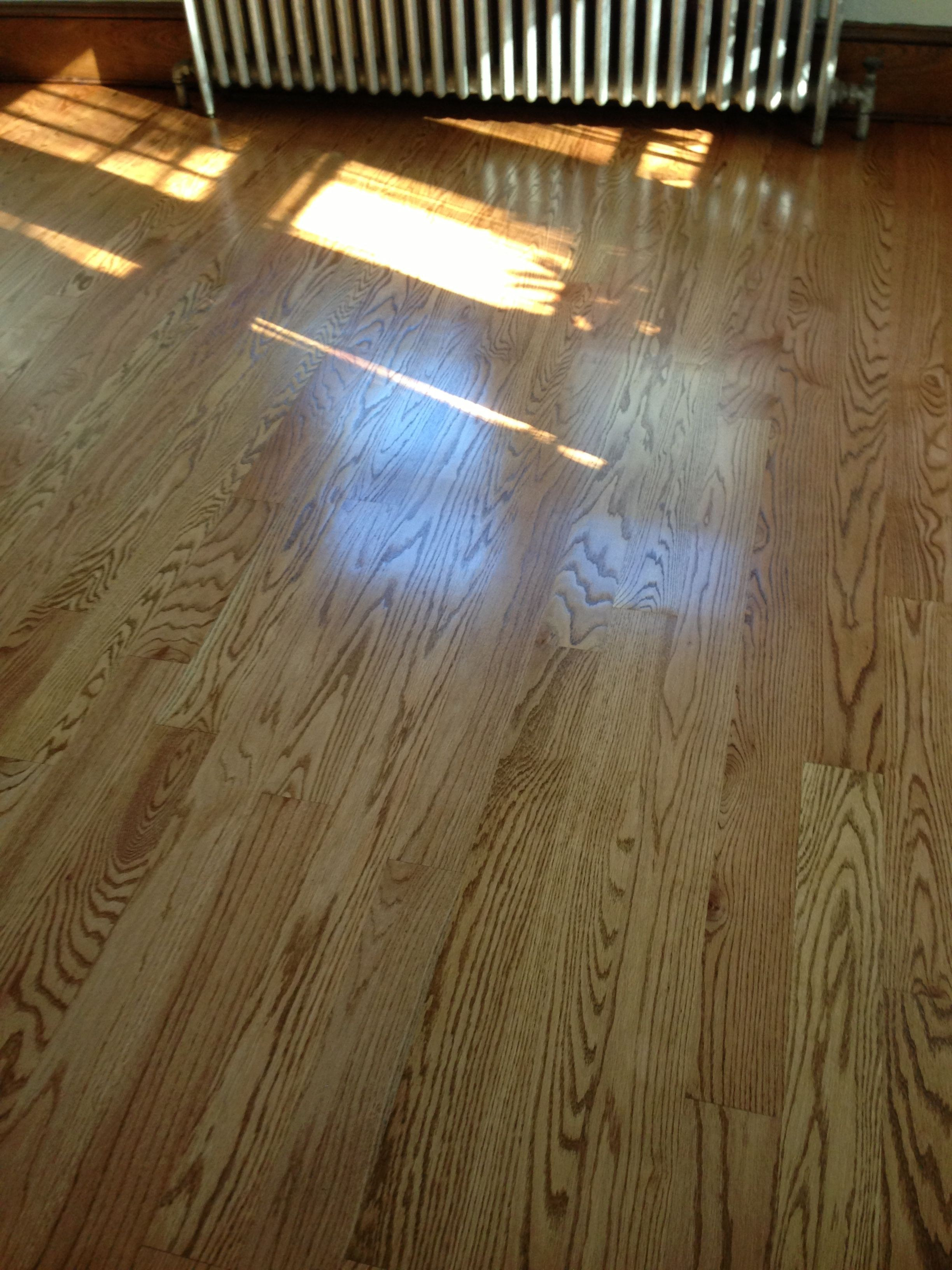 22 Perfect Bona Hardwood Floor Colors 2024 free download bona hardwood floor colors of https dizpos com make your own hardwood floor home remodel for bona hardwood awesome hardwood floor not sure if pic really represents color it is 4 stock of bon