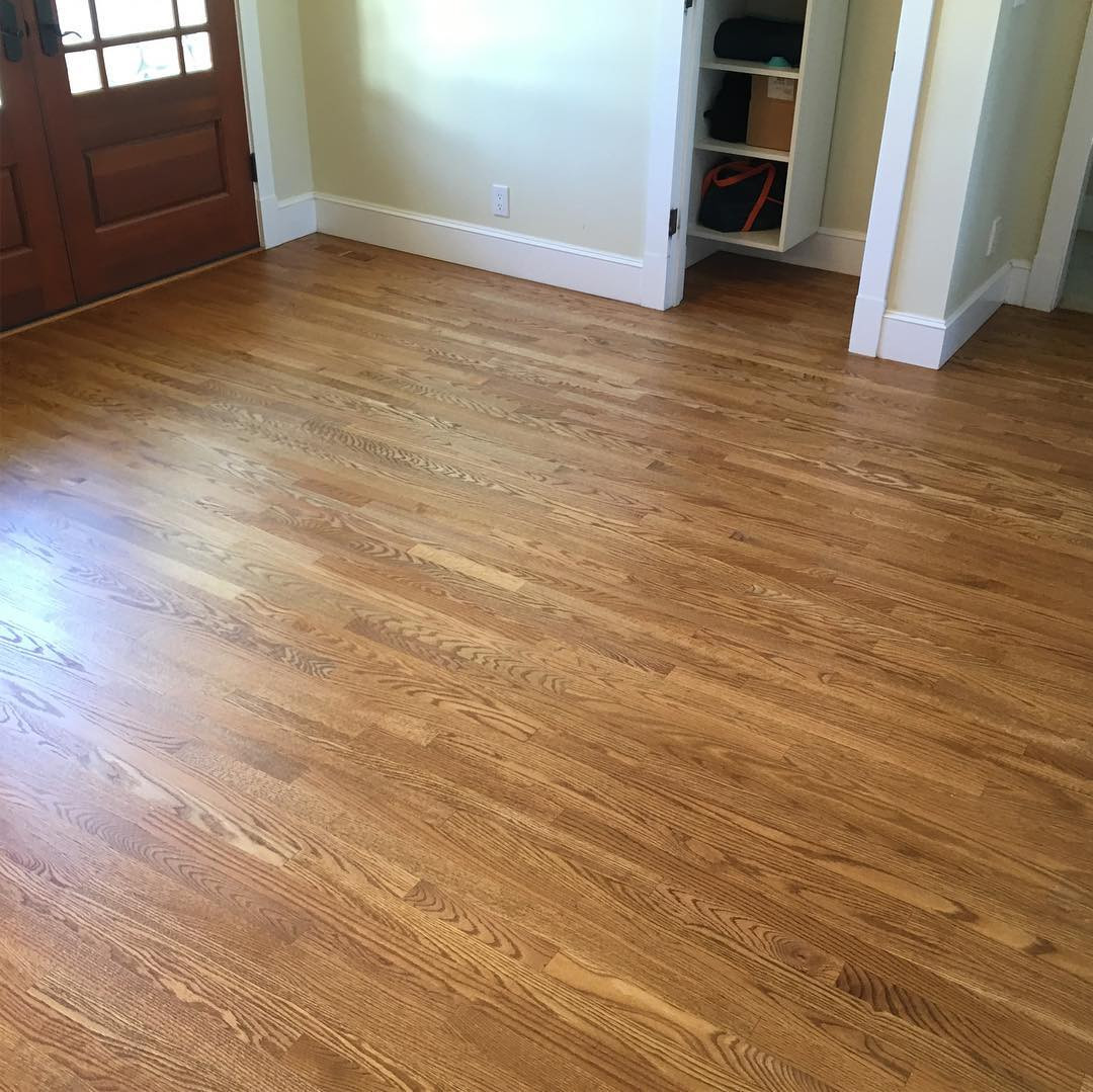 14 Popular Bostitch 2 Hardwood Flooring Nails 2024 free download bostitch 2 hardwood flooring nails of greenpointewoodfloorsupplies hash tags deskgram inside all finished golden oak stain with bona traffic satin this floor is fuh