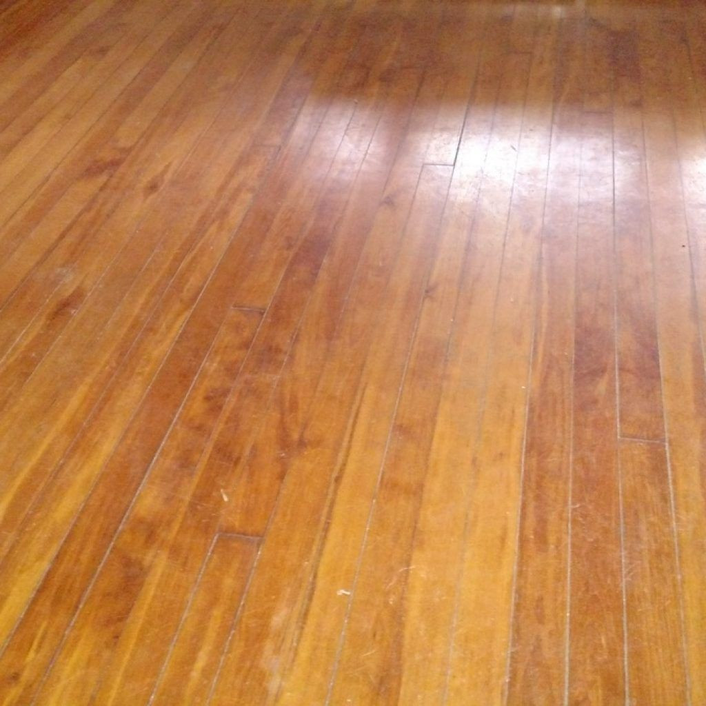 21 Amazing Bruce Glue Down Hardwood Floors 2024 free download bruce glue down hardwood floors of human urine on wood floors http dreamhomesbyrob com pinterest with regard to human urine on wood floors