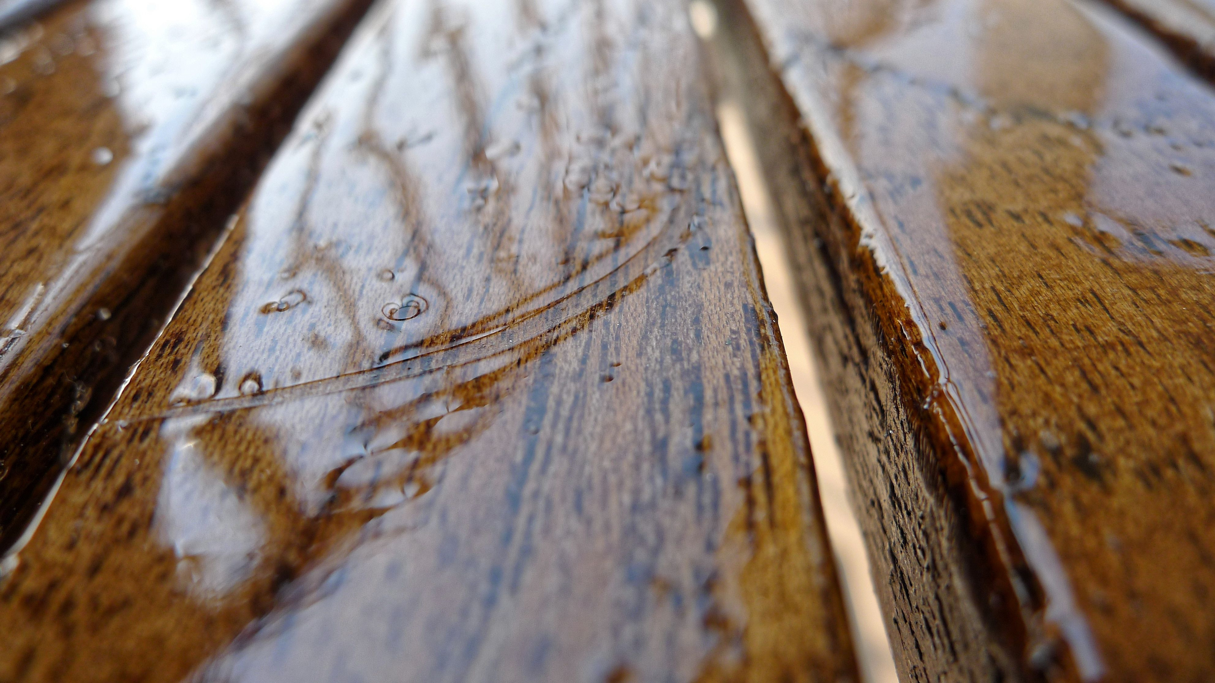 13 Fantastic Bruce Locking Hardwood Flooring 2024 free download bruce locking hardwood flooring of how to save your water damaged wood floors with regard to close up view of wet water surface 565793123 57ef31f73df78c690f863cff