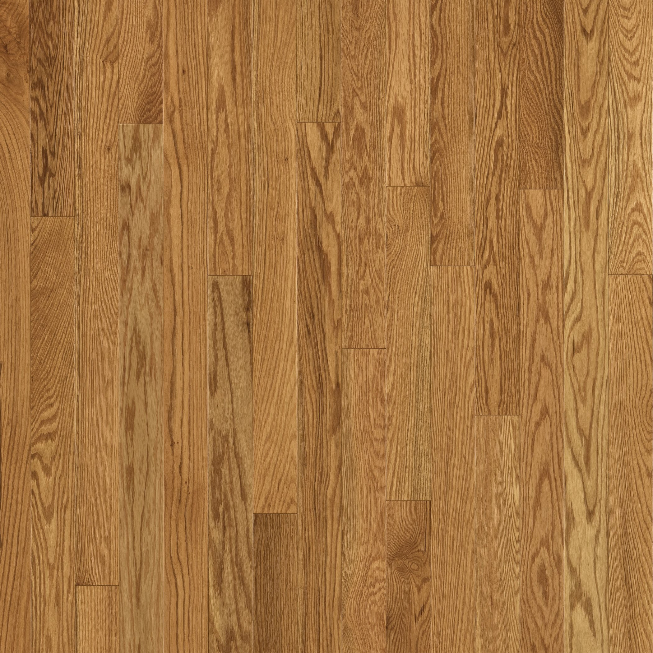 29 Spectacular Bruce solid Oak Hardwood Flooring butterscotch 2024 free download bruce solid oak hardwood flooring butterscotch of natural accent hardwood floors is blogging natural wood floor in 28 best oak floor red oak natural hardwood flooring