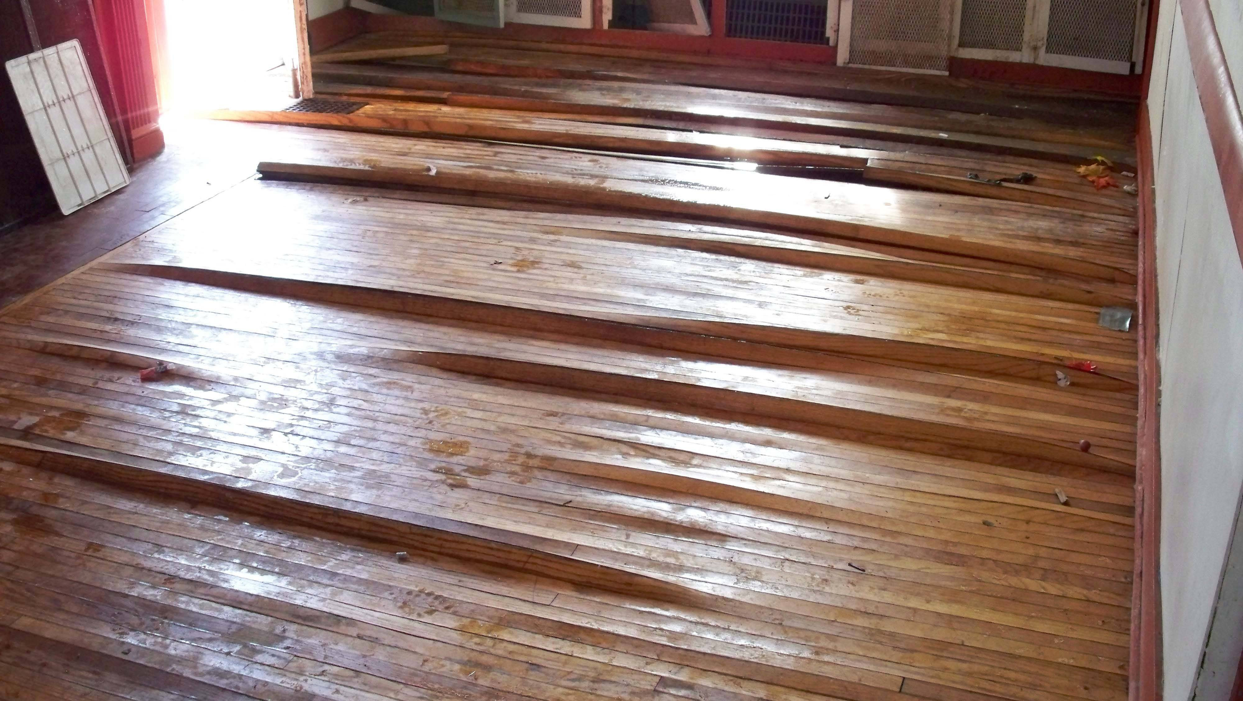 15 Best Can I Stain Hardwood Floors 2024 free download can i stain hardwood floors of stained plywood floor best of flooring nj furniture design hard wood regarding stained plywood floor best of flooring nj furniture design hard wood flooring ne