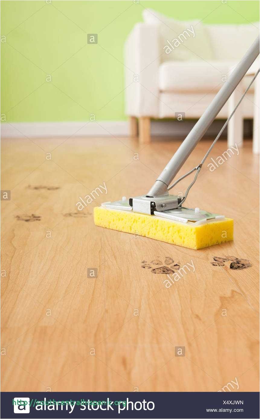 27 Lovely Can You Clean Hardwood Floors with Vinegar 2024 free download can you clean hardwood floors with vinegar of stain mops www topsimages com inside best type of mop to clean hardwood floors charmant microfiber dust mops for hardwood floors jpg