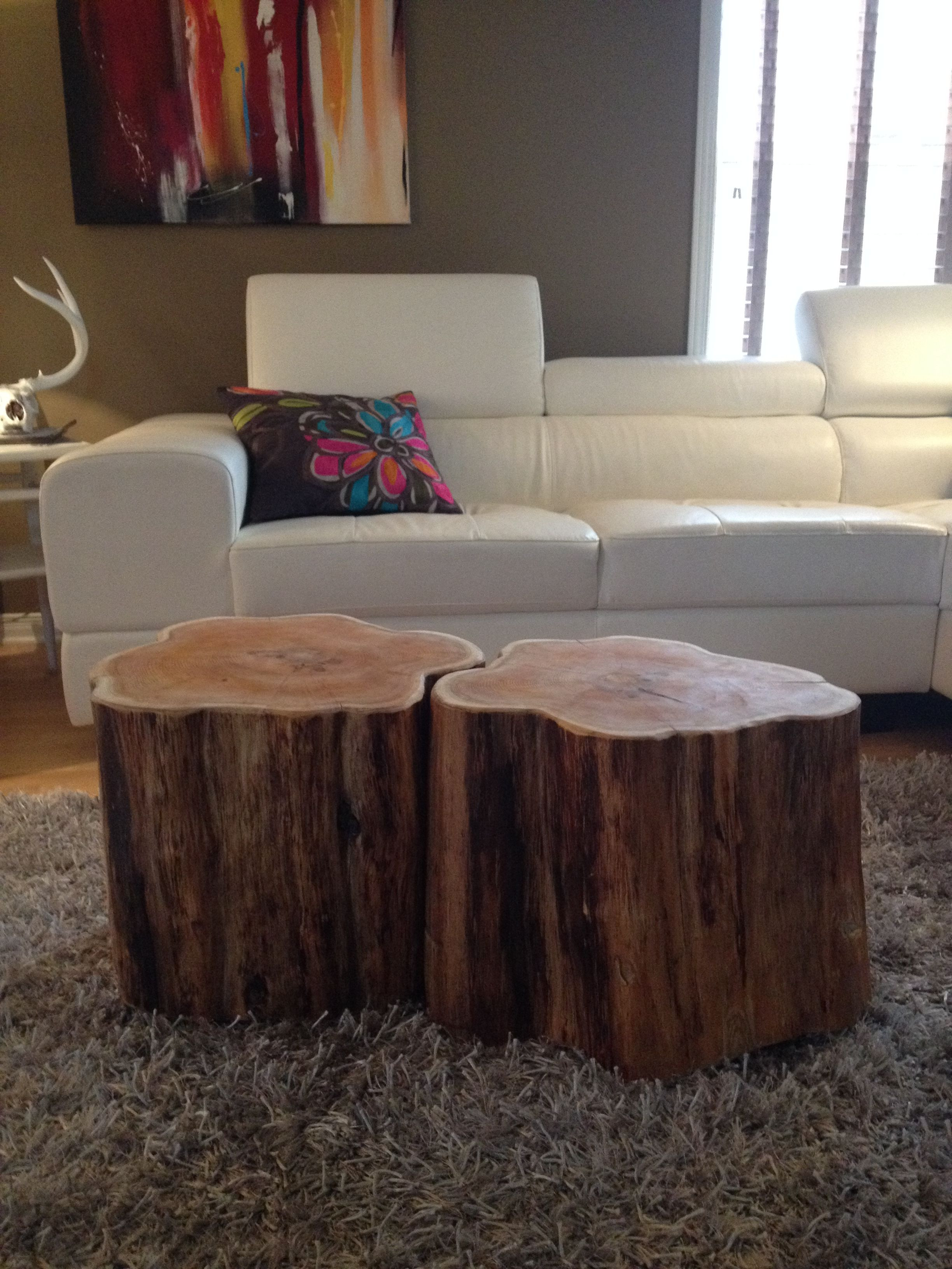 12 Amazing Canada Hardwood Flooring Ottawa 2024 free download canada hardwood flooring ottawa of stump coffee tables serenitystumps com tree trunk tables stump for stump coffee table like ellen ottawa ontario canada sump coffee table like ellen show tr