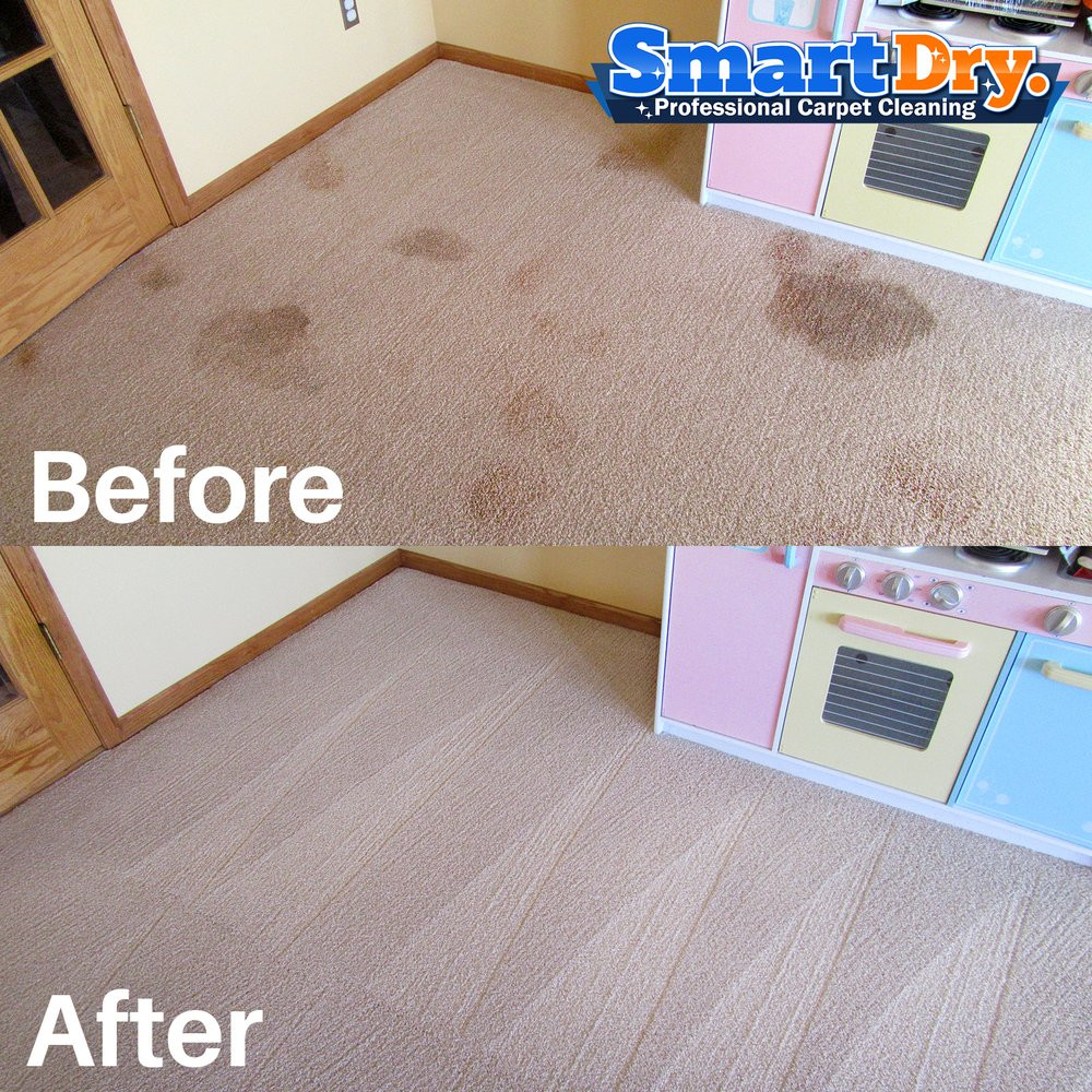 30 Stunning Carpet and Hardwood Floor Cleaning Service 2024 free download carpet and hardwood floor cleaning service of smart dry carpet cleaning 91 photos carpet cleaning 8920 with smart dry carpet cleaning 91 photos carpet cleaning 8920 activity rd san diego ca 