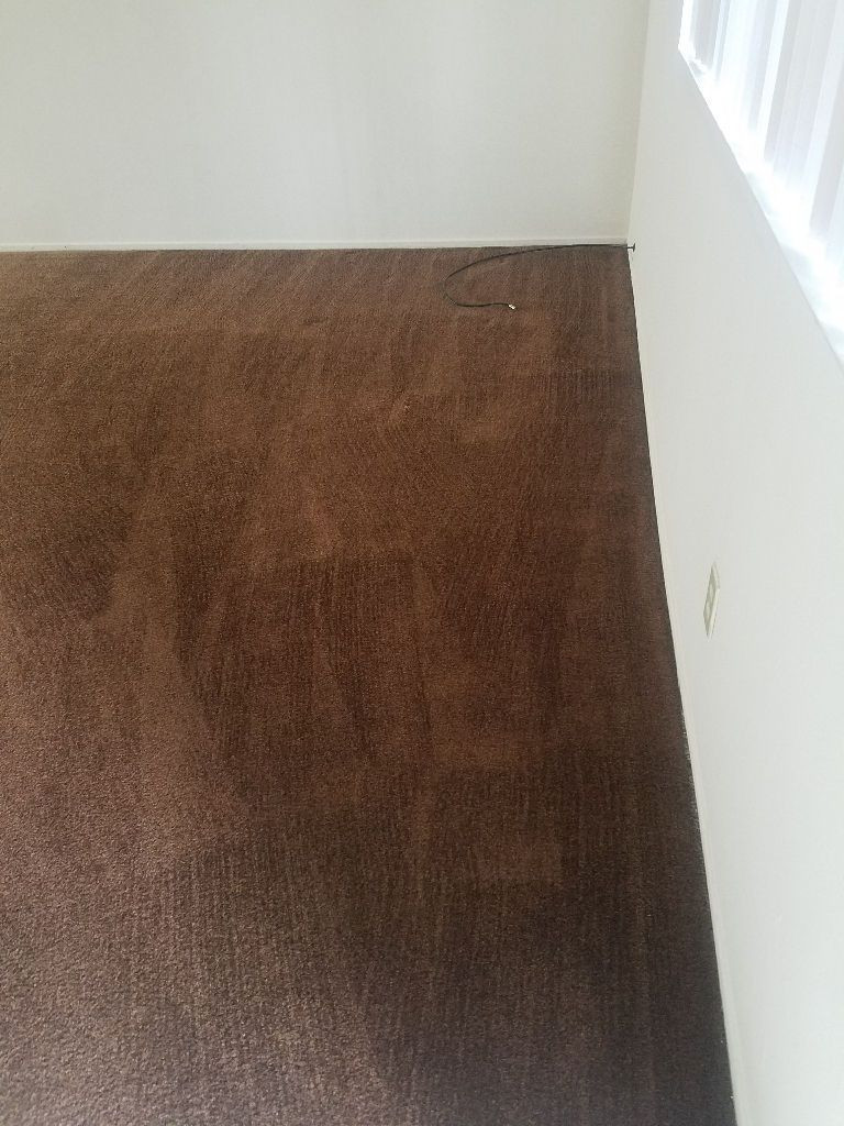 30 Stunning Carpet and Hardwood Floor Cleaning Service 2024 free download carpet and hardwood floor cleaning service of vs is here to help contact us to schedule your carpet cleaning for contact us to schedule your carpet cleaning service