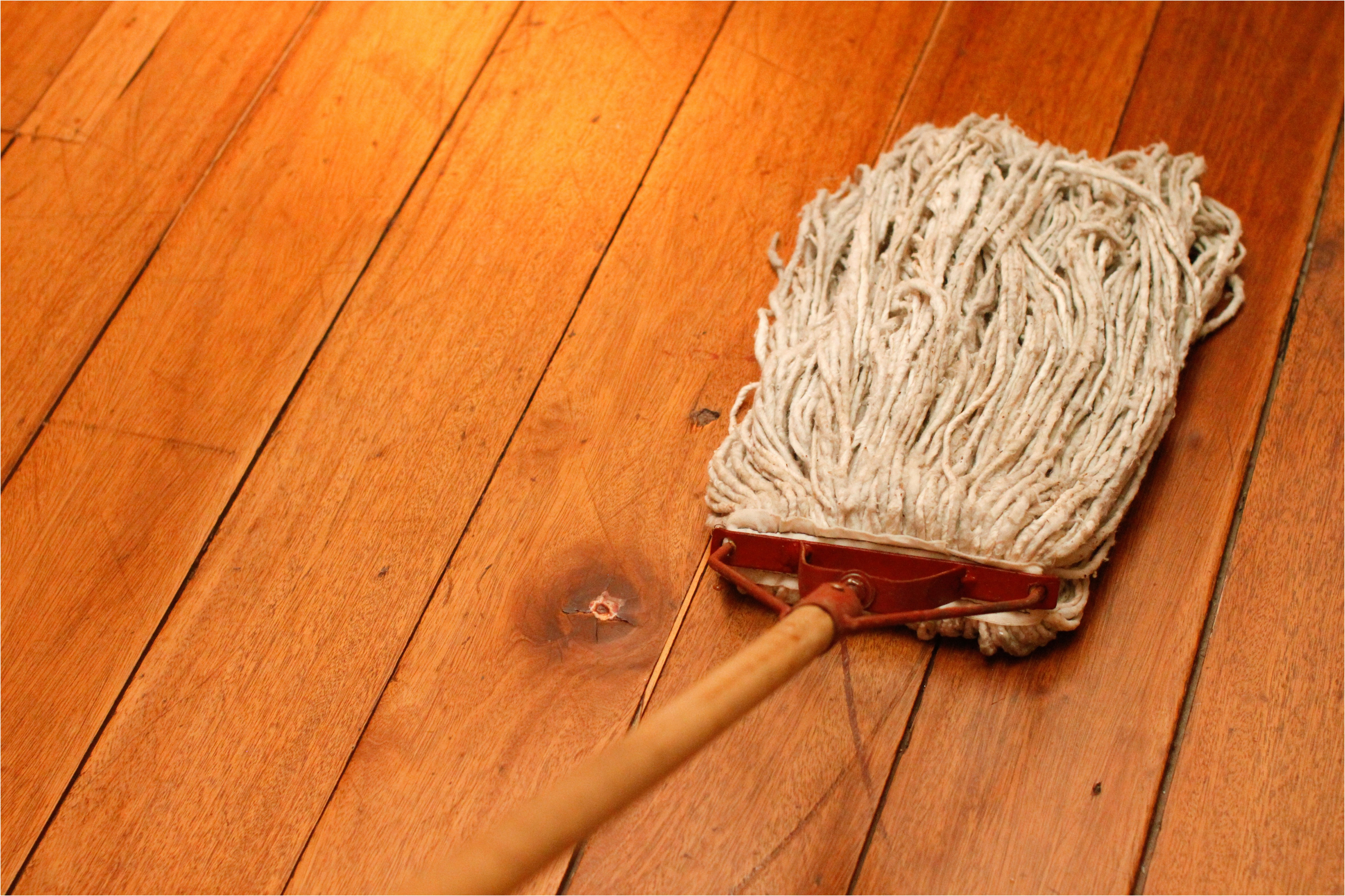 29 Unique Cleaning Hardwood Floors with Vinegar 2024 free download cleaning hardwood floors with vinegar of laminate hardwood floor cleaner new an oil and vinegar wood with regard to laminate hardwood floor cleaner beautiful best place for laminate flooring