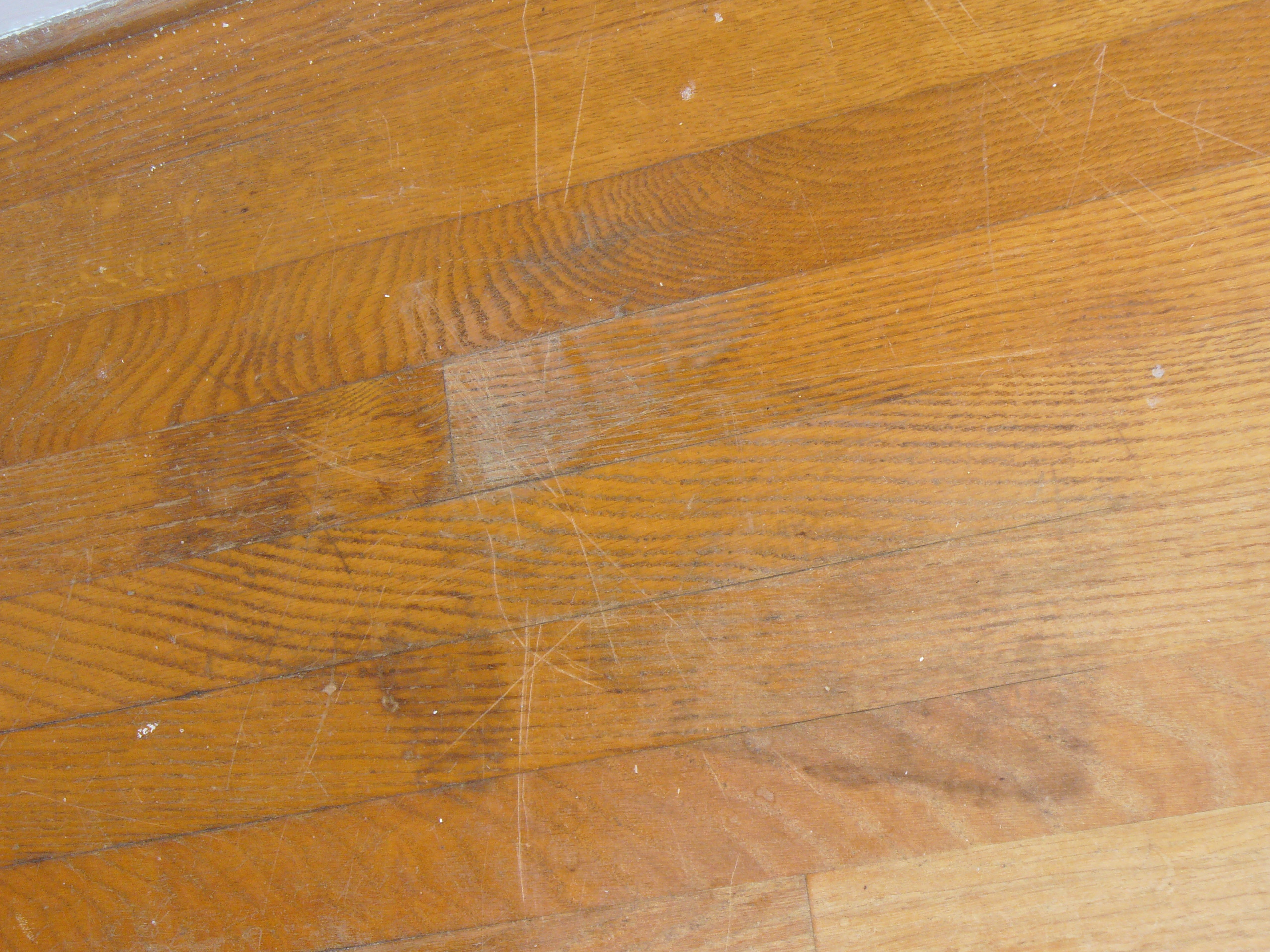 24 attractive Cost to Refinish Hardwood Floors Chicago 2024 free download cost to refinish hardwood floors chicago of cost to refinish wood floors yourself wikizie co within what is sand free hardwood floor refinishing classic cleaning