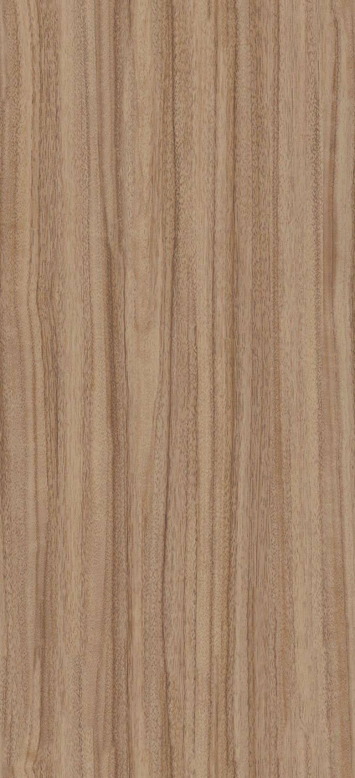 20 Unique Dark Hardwood Floor Texture 2024 free download dark hardwood floor texture of seamless french walnut wood texture texturise texturise intended for seamless french walnut wood texture texturise