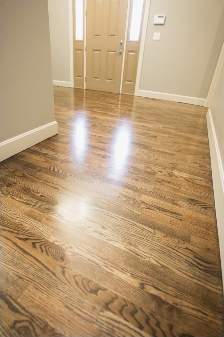 21 Stunning Dark Hardwood Floors 2024 free download dark hardwood floors of flooring tampa best of the flooring place hardwood floors in the with flooring tampa elegant premier hardwood floors 27 best dark hardwoods pinterest