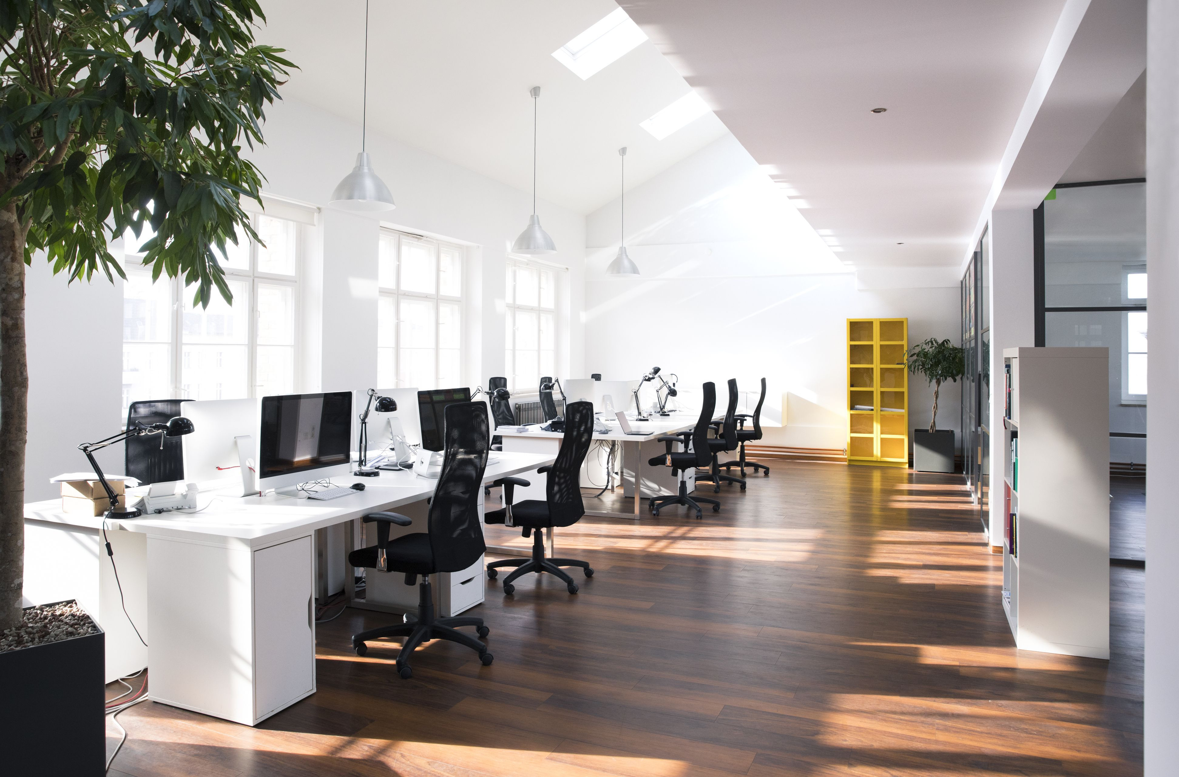 26 Trendy Discount Hardwood Flooring Gta 2024 free download discount hardwood flooring gta of learn about inactive business intended for desks with pcs in bright and modern open space office 898700298 5b089141fa6bcc0037c8f785