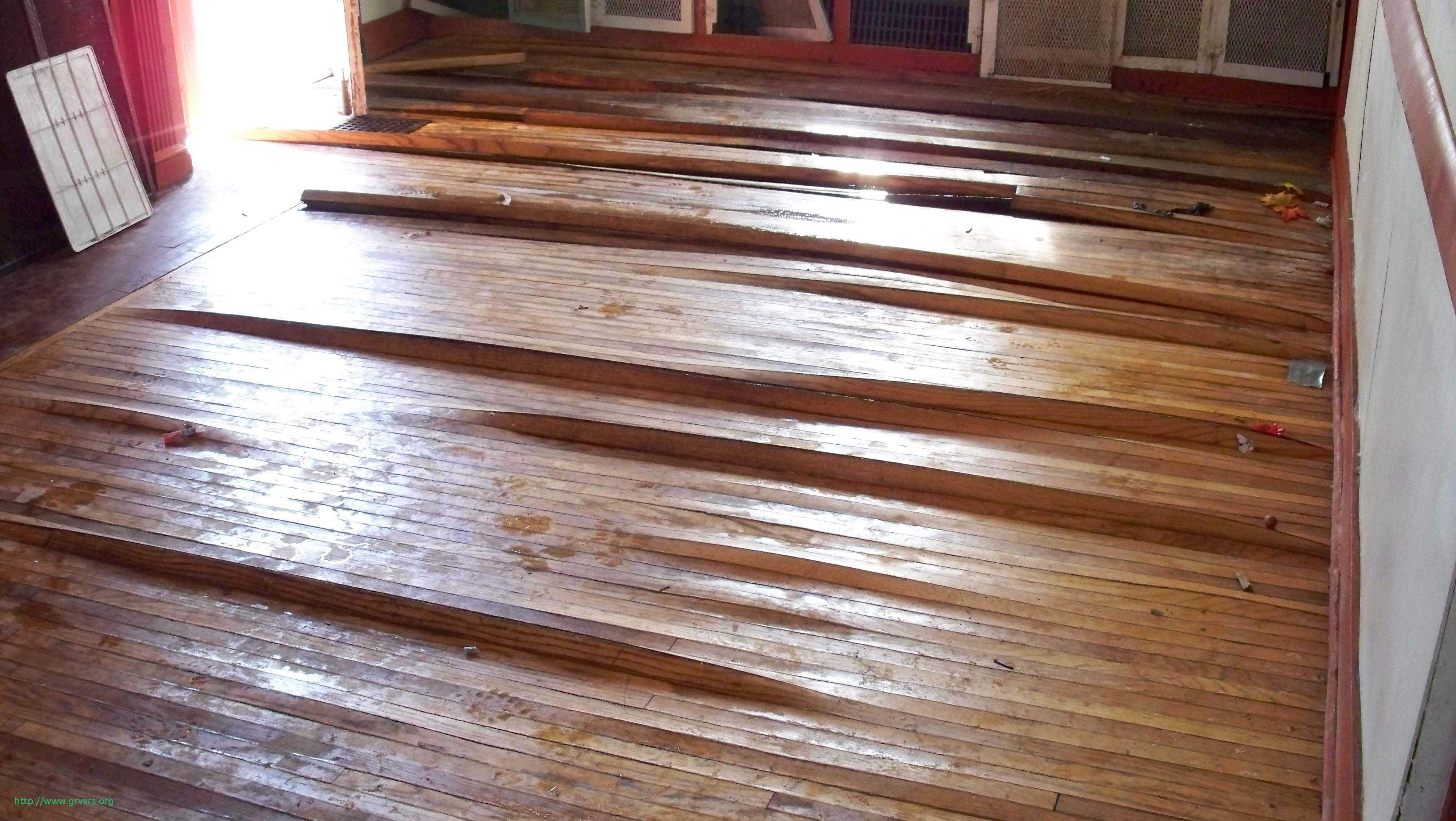 19 Recommended Dustless Hardwood Floor Refinishing Kansas City 2024 free download dustless hardwood floor refinishing kansas city of 25 beau how to refinish wood floors step by step ideas blog regarding how to refinish wood floors step by step frais hardwood floor water d