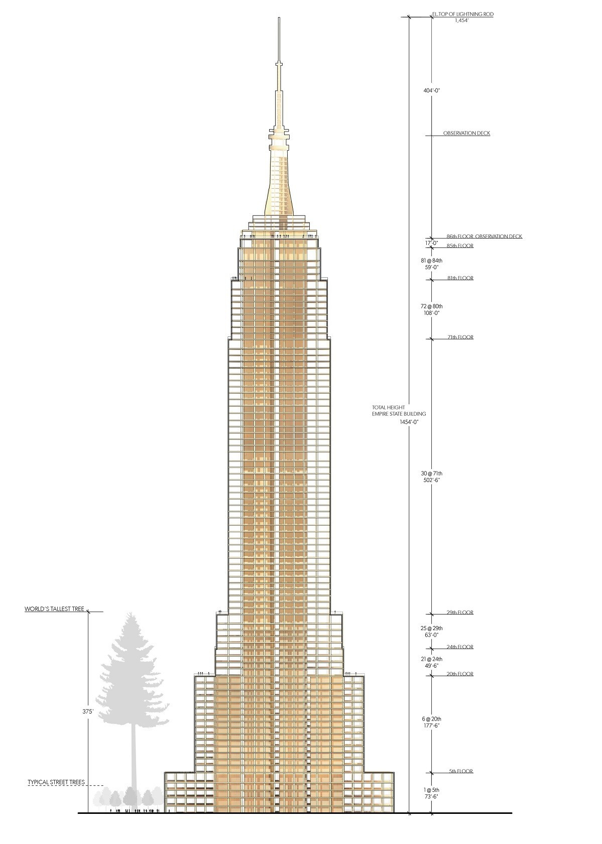 20 Fabulous Empire Hardwood Floor Cost 2024 free download empire hardwood floor cost of empire state floors manhattan view things to do in nyc pinterest floor within empire state floors design empire state building floor plan