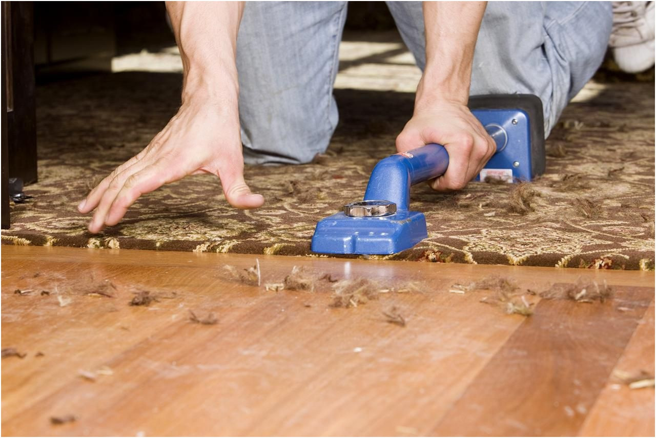 10 Lovable Glue Down Hardwood Floor Repair 2024 free download glue down hardwood floor repair of how to install hardwood flooring on steps photographies guide to pertaining to how to install hardwood flooring on steps photographies carpet vs hardwood f