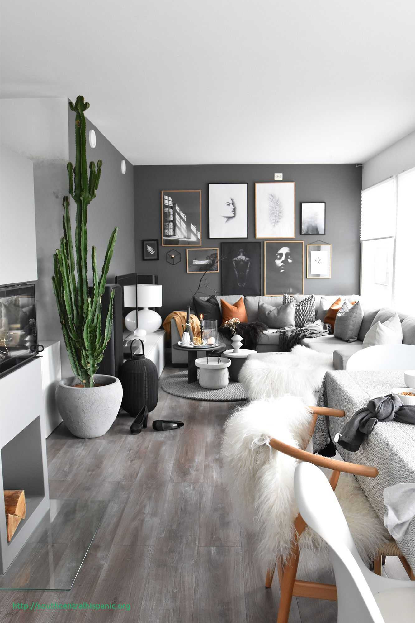 10 Fabulous Grey Hardwood Floors Images 2024 free download grey hardwood floors images of live at floores frais 24 nice best area rugs for living room regarding wood floors and 4235 grey live at floores nouveau switch out the grey for soft blush and