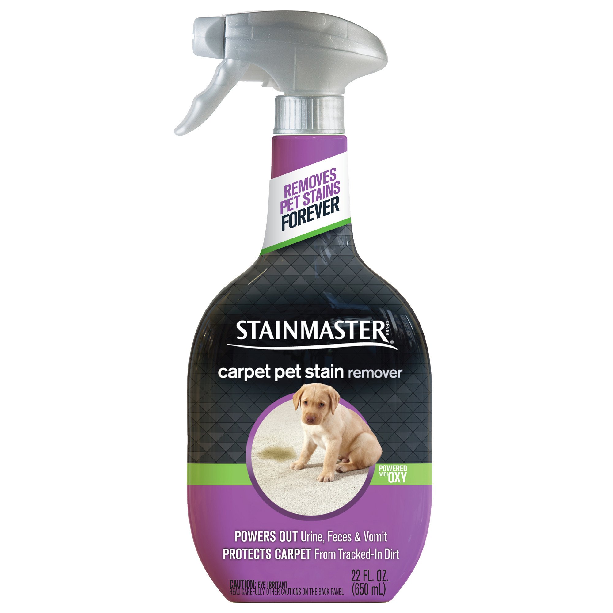 20 Fantastic Hardwood Floor Cleaner for Pet Stains 2024 free download hardwood floor cleaner for pet stains of stainmaster carpet pet stain remover 22 fl oz walmart com throughout 5c3782ea 9970 4e45 9f25 0ee1b69b8ec9 1 6dfcc5b9c275d172bf93fa8f2879ee72