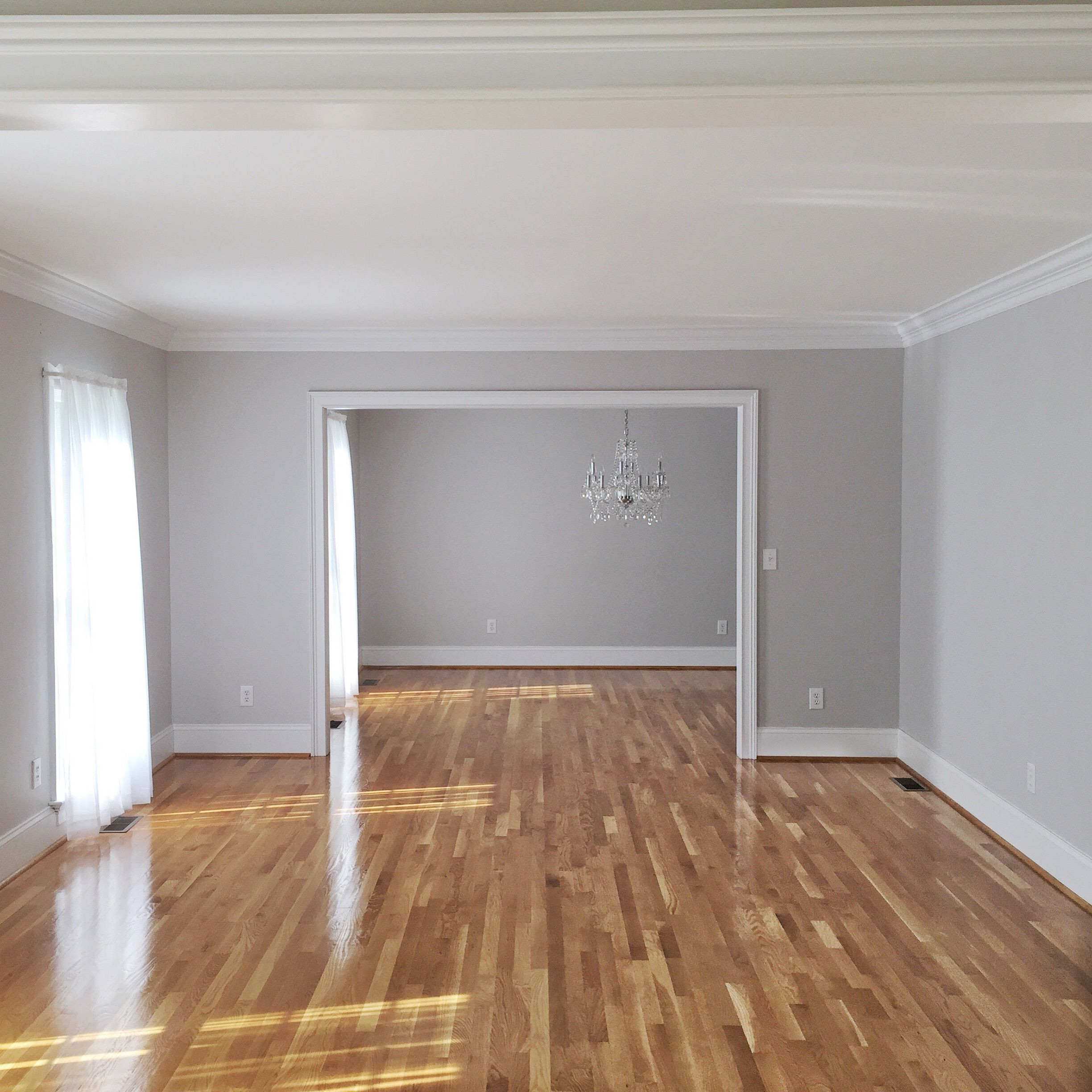 20 Best Hardwood Floor Cleaning Fayetteville Nc 2024 free download hardwood floor cleaning fayetteville nc of bethany mitchell homes hardwood floors natural light grey walls pertaining to bethany mitchell homes hardwood floors natural light grey walls