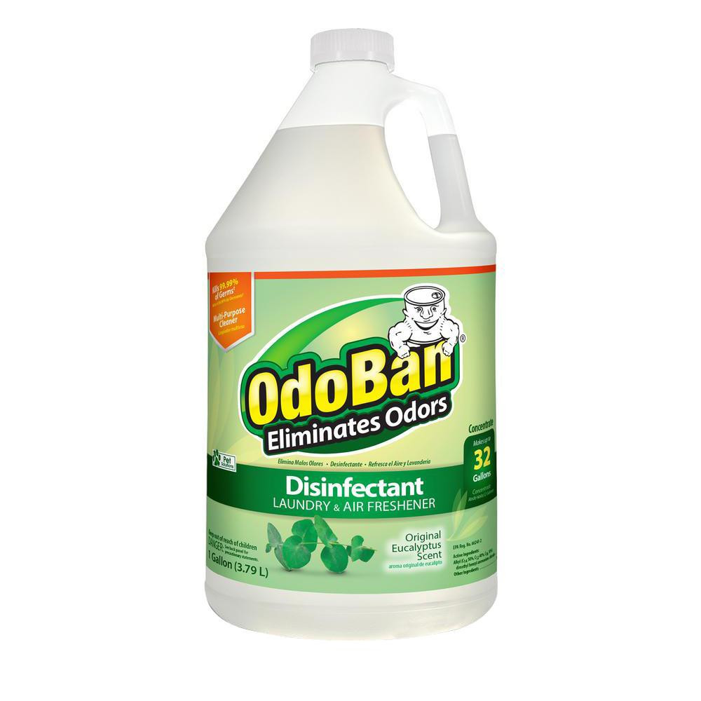 23 Perfect Hardwood Floor Cleaning Houston 2024 free download hardwood floor cleaning houston of odoban 1 gal eucalyptus disinfectant laundry and air freshener intended for odoban 1 gal eucalyptus disinfectant laundry and air freshener mold and mildew 