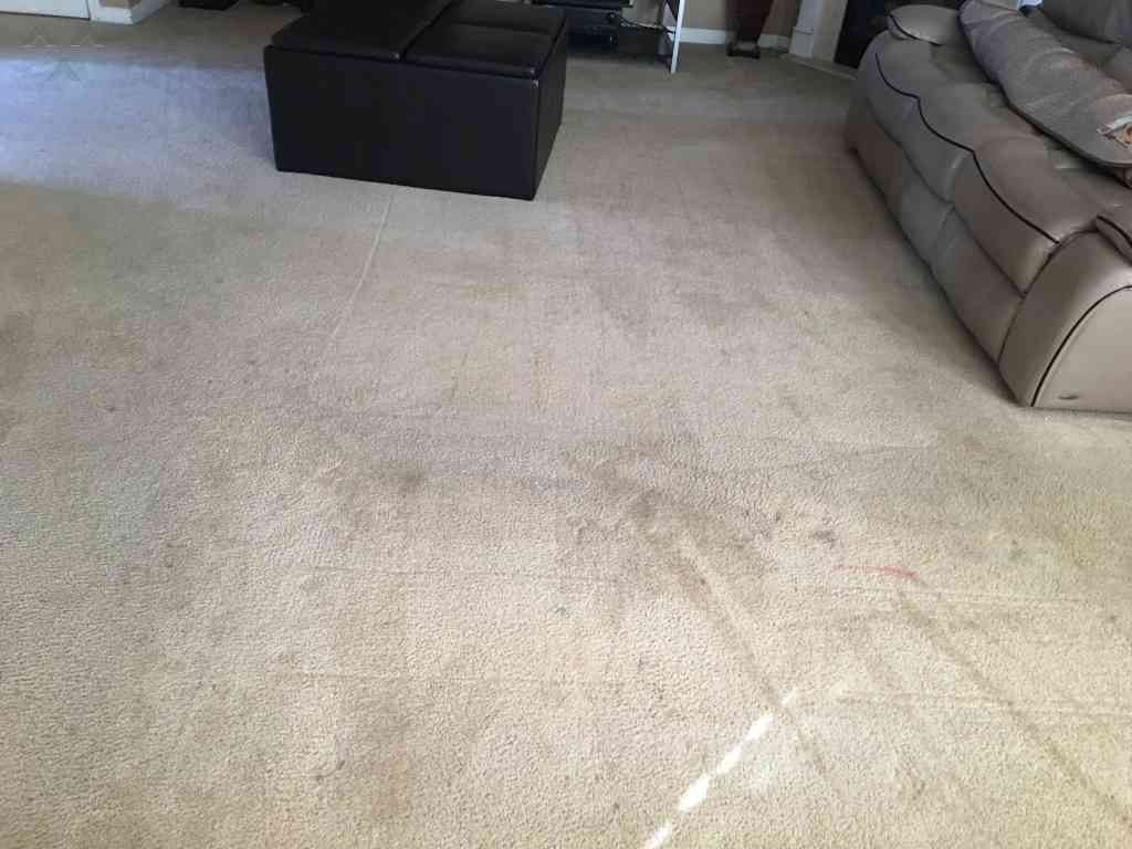 12 attractive Hardwood Floor Cleaning Las Vegas 2024 free download hardwood floor cleaning las vegas of 111 top rated we clean carpets reviews and complaints page 7 regarding we clean carpets carpet cleaning service review from stockbridge georgia