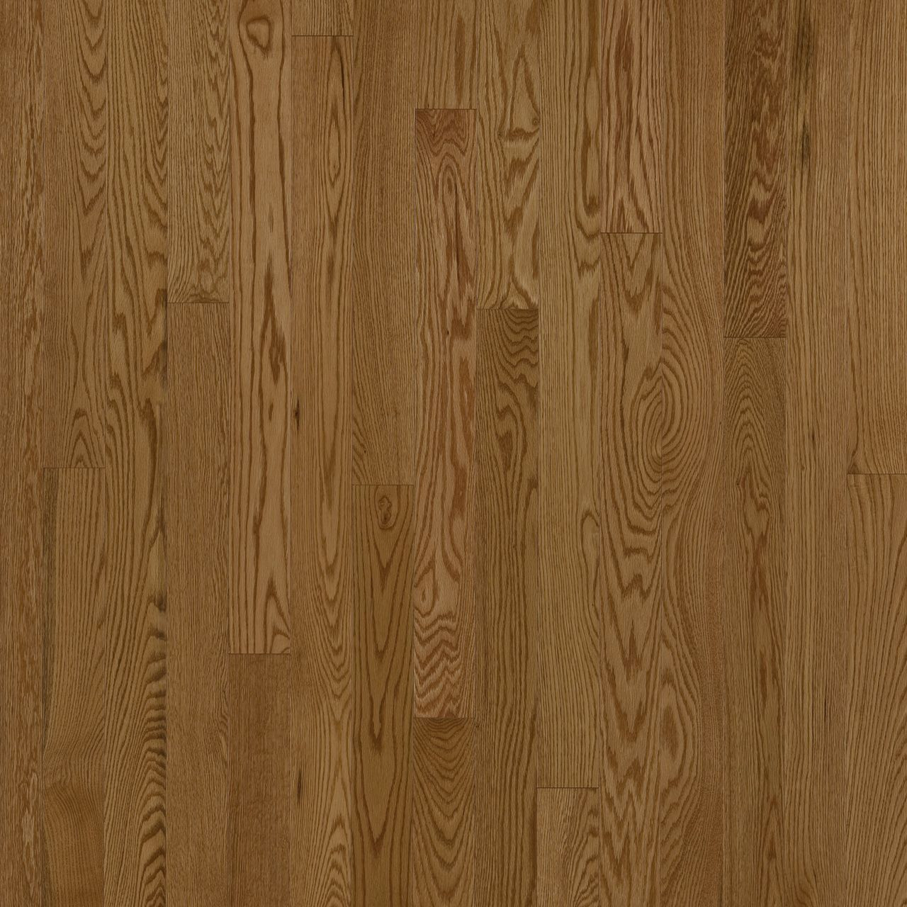 11 Unique Hardwood Floor Edges 2024 free download hardwood floor edges of red oak honey hardwood flooring preverco preverco hardwood pertaining to red oak honey hardwood flooring preverco