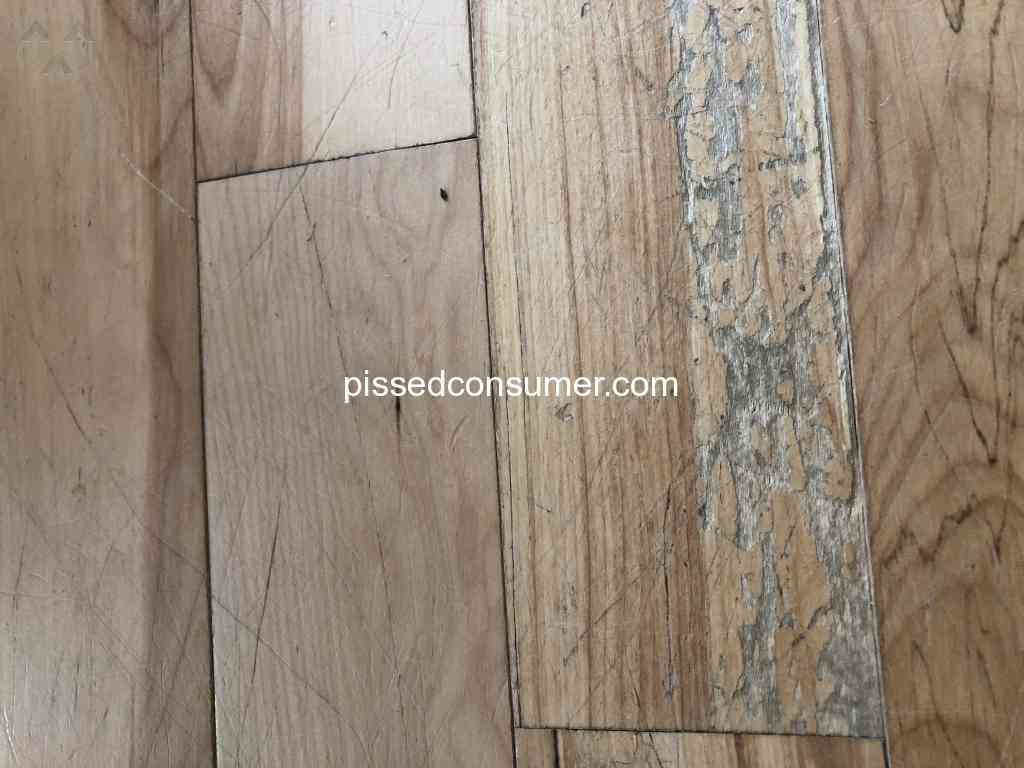 14 Unique Hardwood Floor Installation Tampa 2024 free download hardwood floor installation tampa of 85 rite rug reviews and complaints pissed consumer regarding rite rug terrible ethics