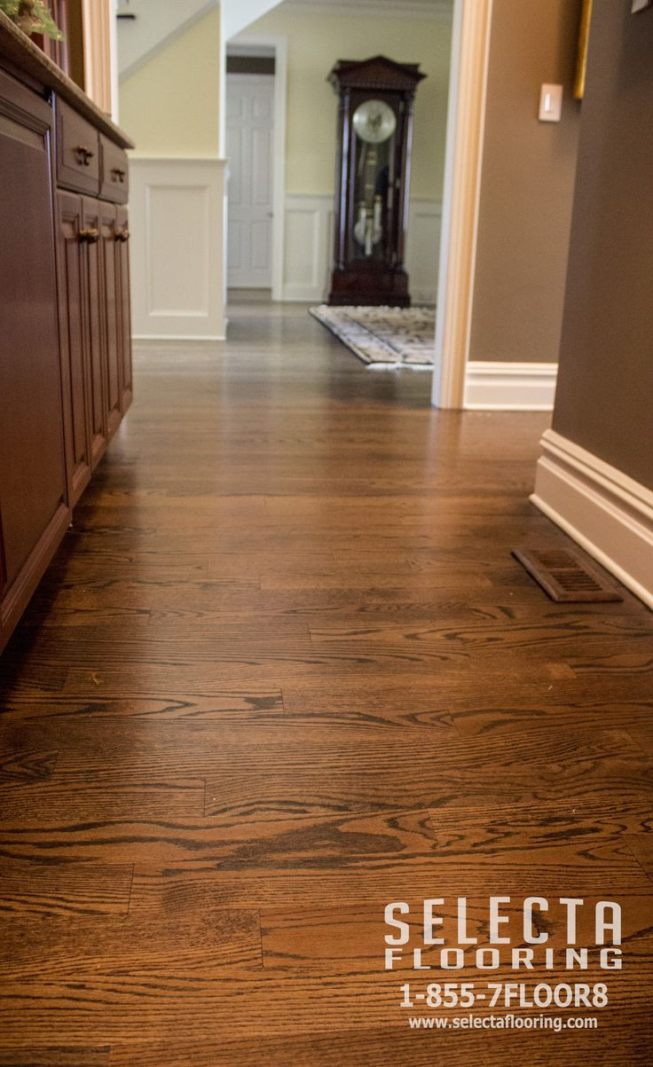 11 Popular Hardwood Floor Refinishing Cleveland 2024 free download hardwood floor refinishing cleveland of best 7 floors ideas on pinterest future house flooring and floors for pantry finished with duraseal in jacobean on red oak hardwood flooring