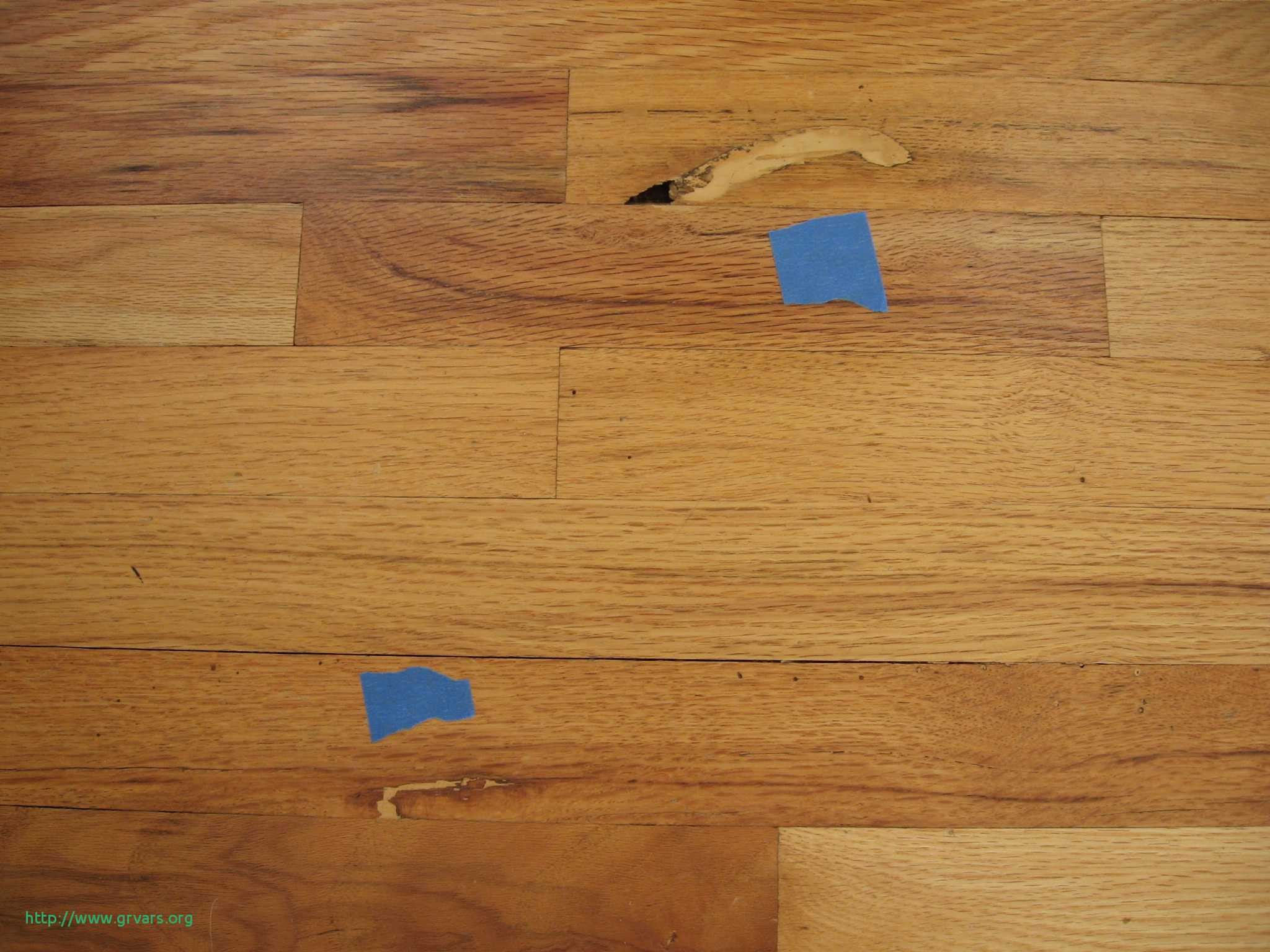 25 Wonderful Hardwood Floor Refinishing Everett Wa 2024 free download hardwood floor refinishing everett wa of 17 unique polishing hardwood floors naturally ideas blog inside polishing hardwood floors naturally meilleur de wood floor techniques 101