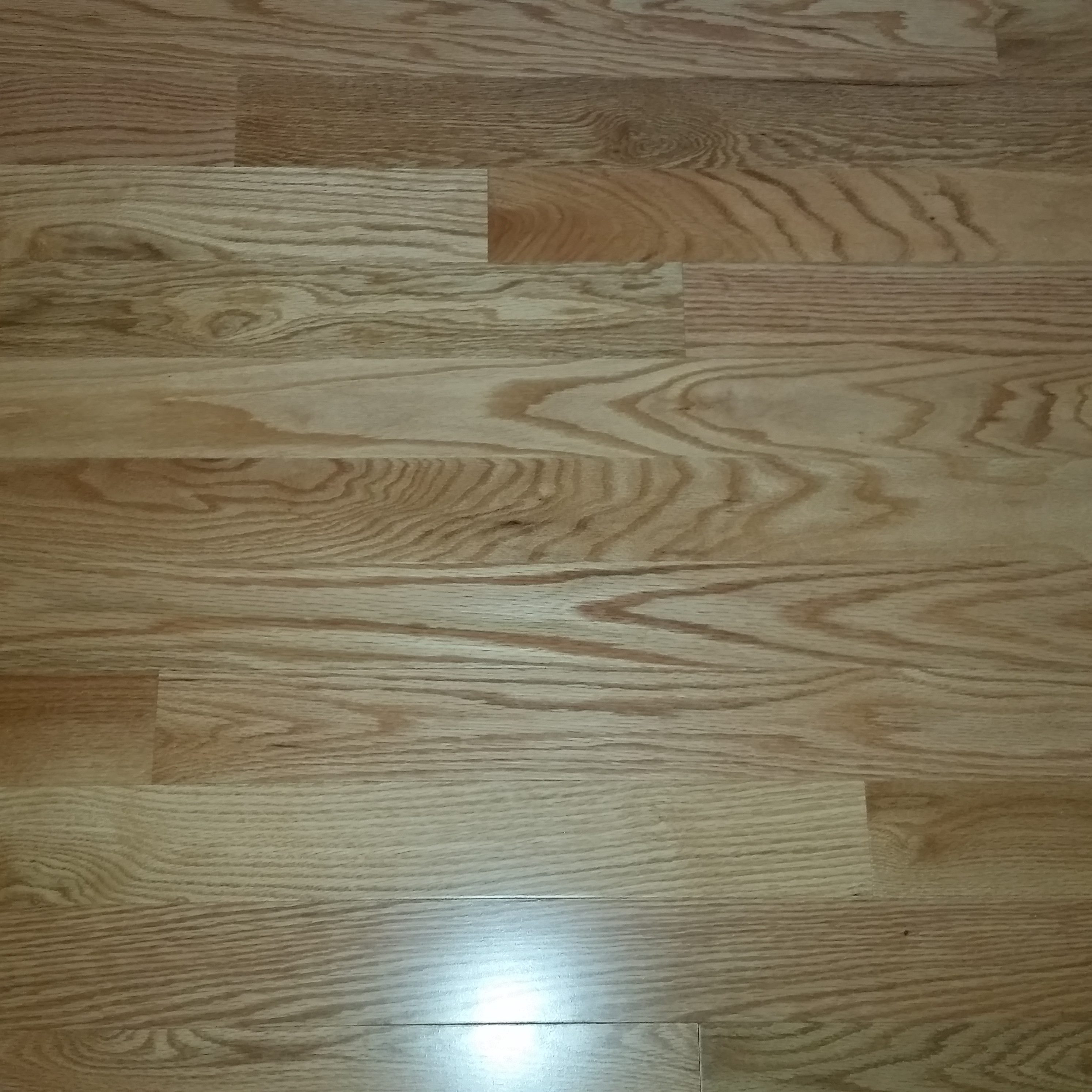 20 Amazing Hardwood Floor Refinishing Kit 2024 free download hardwood floor refinishing kit of hardwood floor refinishing richmond va floor throughout hardwood floor refinishing richmond va can pets and hardwood floors coexist