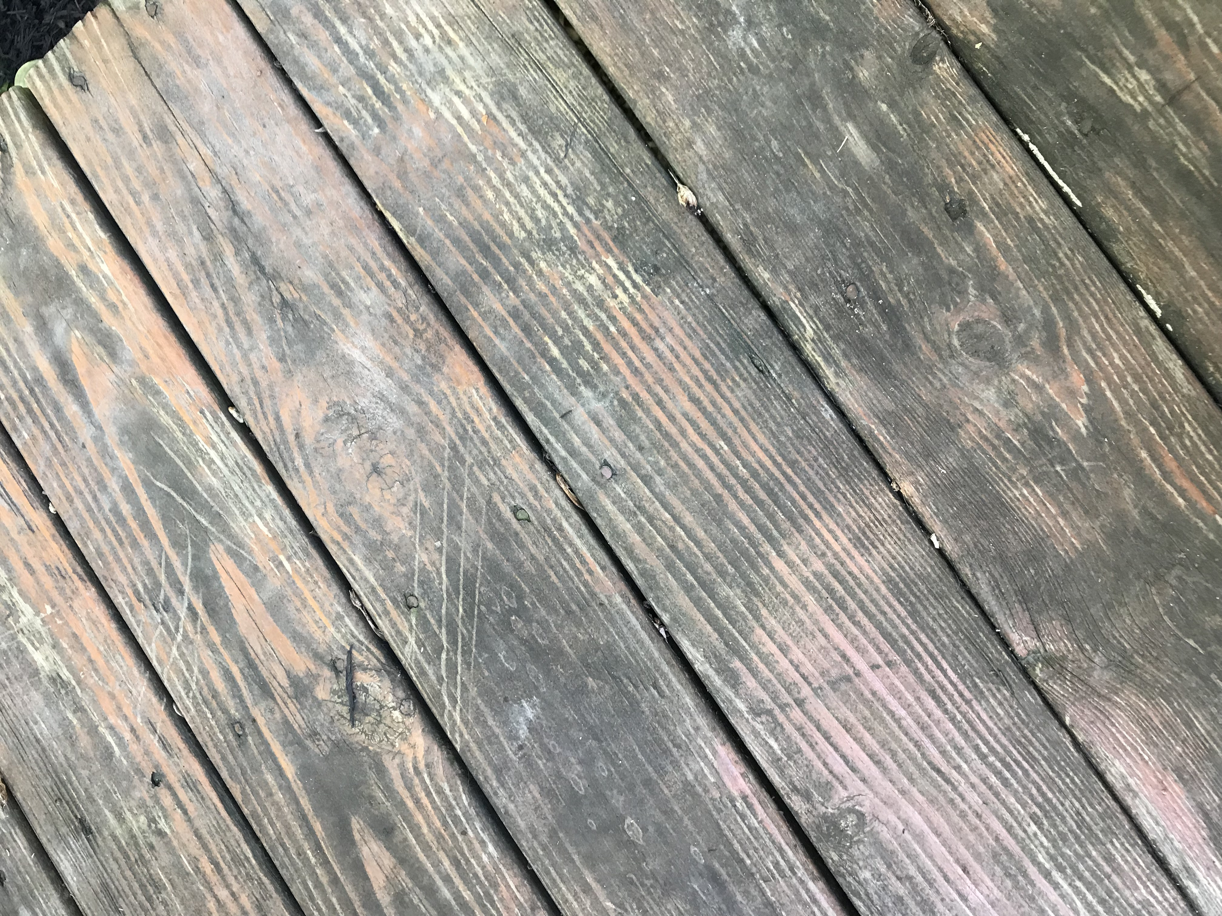 22 Fashionable Hardwood Floor Refinishing Livonia Mi 2024 free download hardwood floor refinishing livonia mi of deck stripping removing an old deck stain best deck stain in 3 months ago