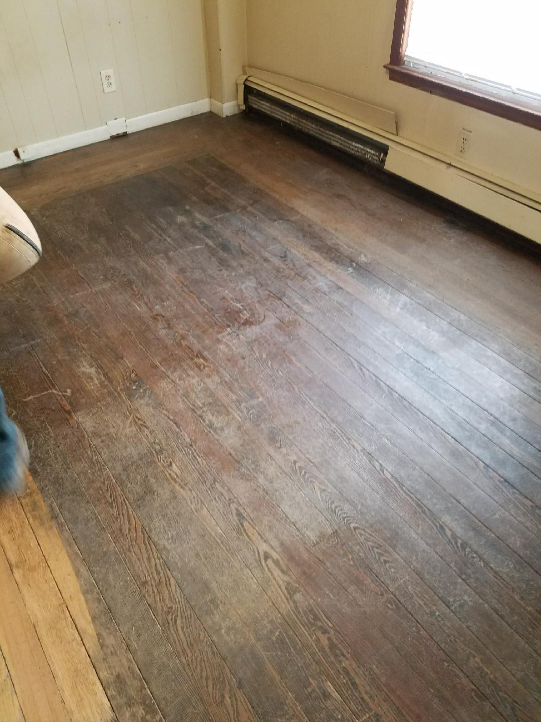 22 Fashionable Hardwood Floor Refinishing Livonia Mi 2024 free download hardwood floor refinishing livonia mi of wilsons floor sanding within image showing a room with hardwood floor that is so damaged that it is hard to