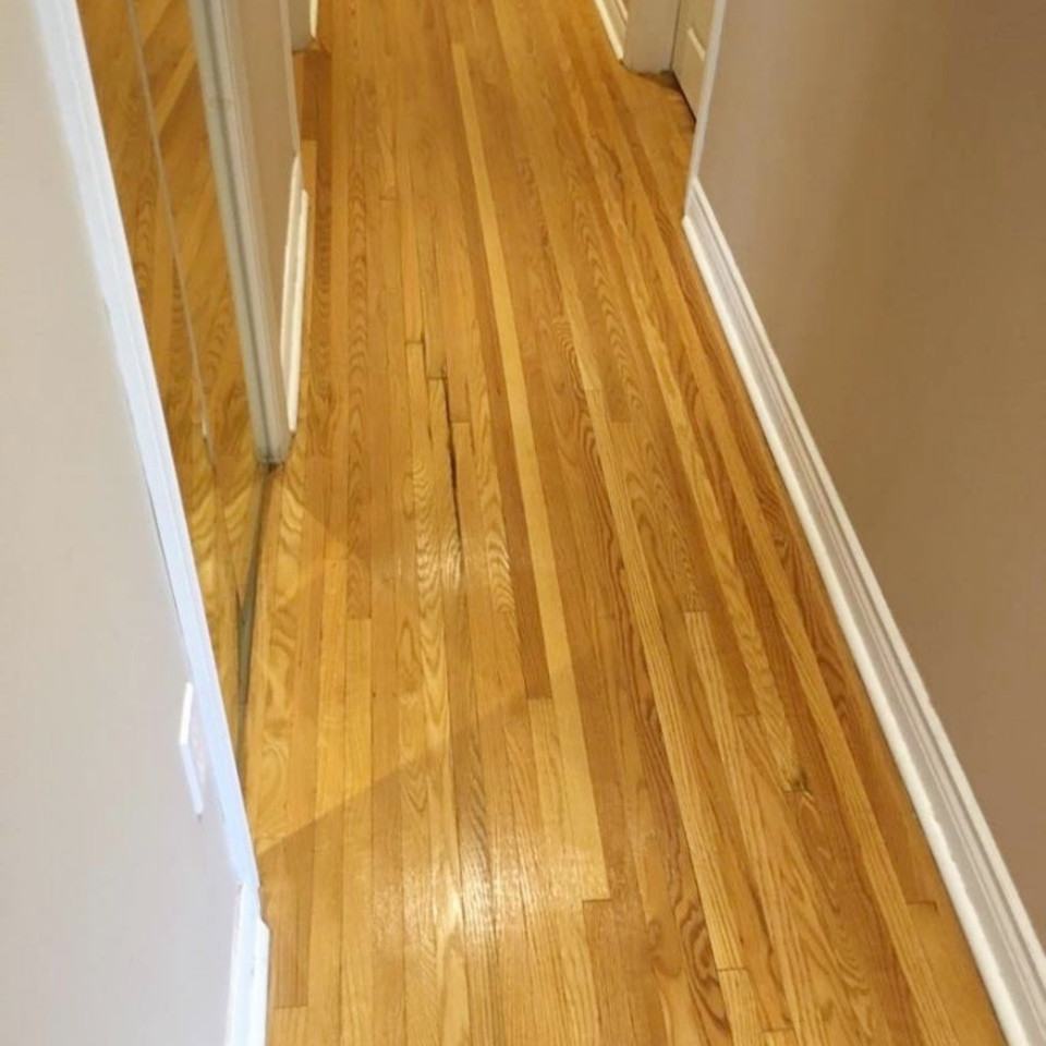 23 Fabulous Hardwood Floor Refinishing Niagara Region 2024 free download hardwood floor refinishing niagara region of wood floor cleaning wood floor sealing wood and laminate floor pertaining to 32d67bad718646c79e80db64ca2211b6 960x960