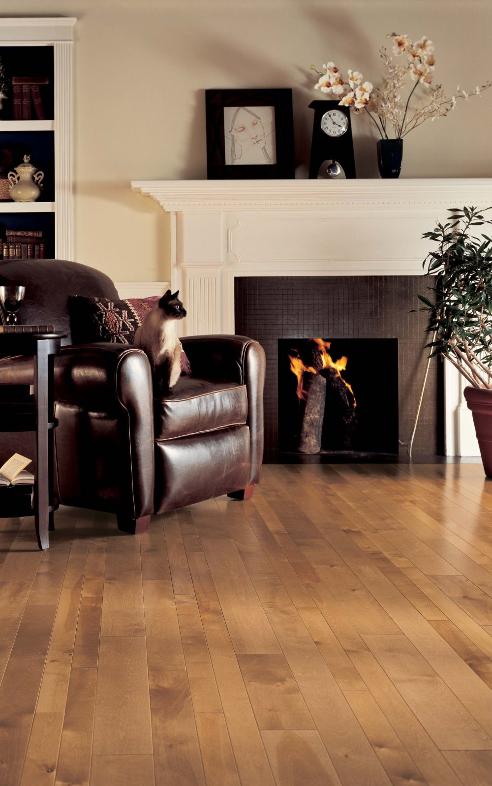 15 Popular Hardwood Floor Refinishing West Hartford Ct 2024 free download hardwood floor refinishing west hartford ct of artistic hardwood floors designs llc artistic hardwood flooring regarding serving all of connecticut 203 284 8900 email