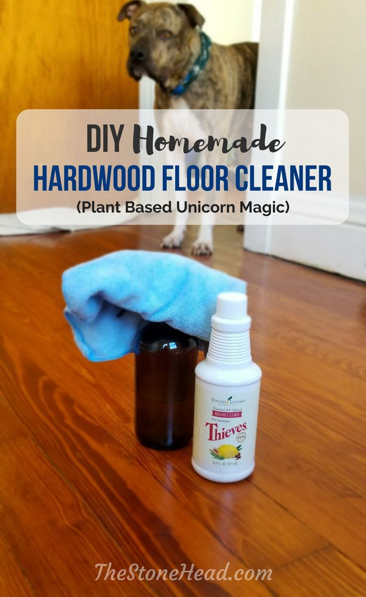 22 Trendy Hardwood Floor Repair Louisville Ky 2024 free download hardwood floor repair louisville ky of 583 best tips and tricks images on pinterest 2 ingredient recipes with diy hardwood floor cleaner with thieves cleaner