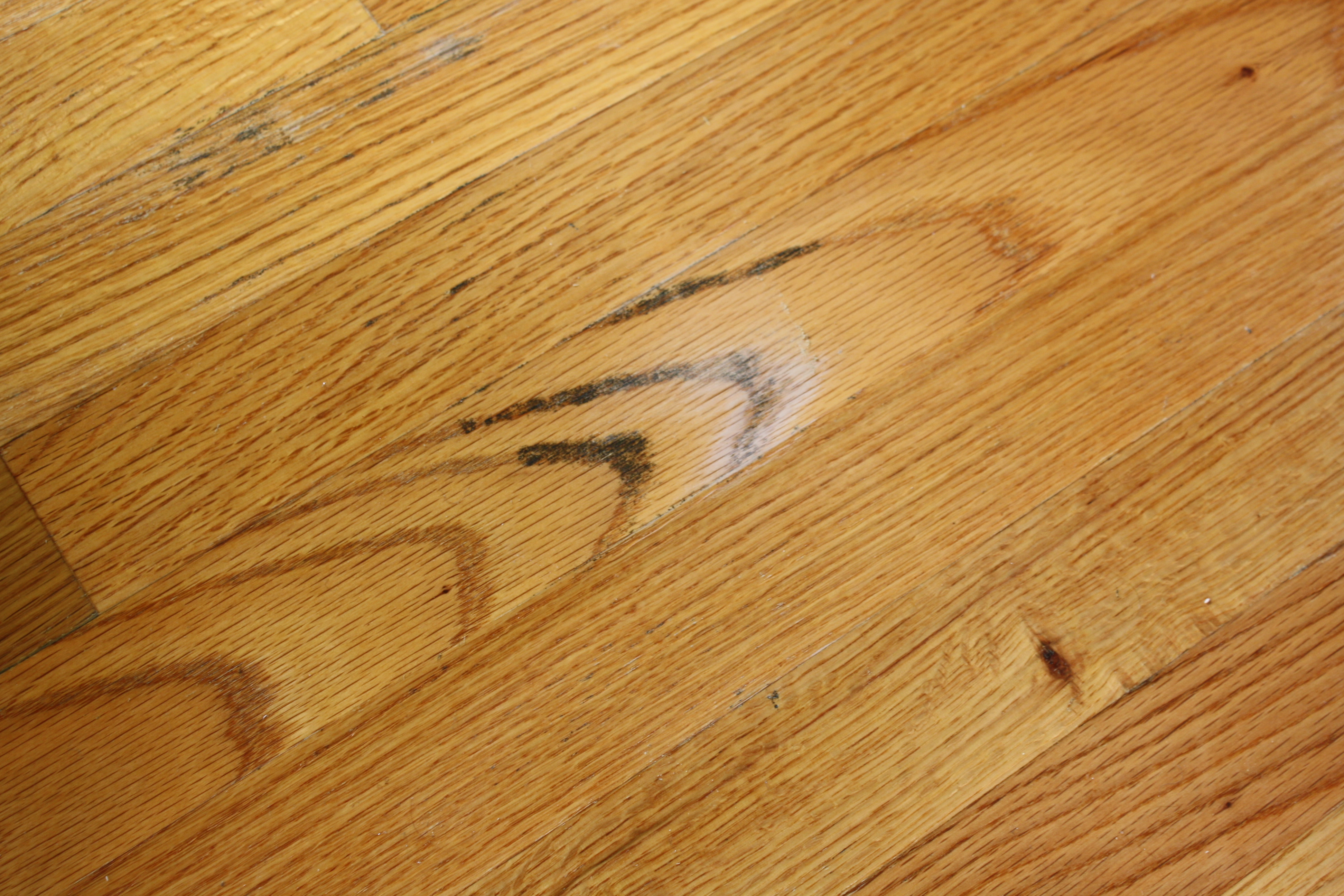 11 Wonderful Hardwood Floor Repair San Antonio Unique